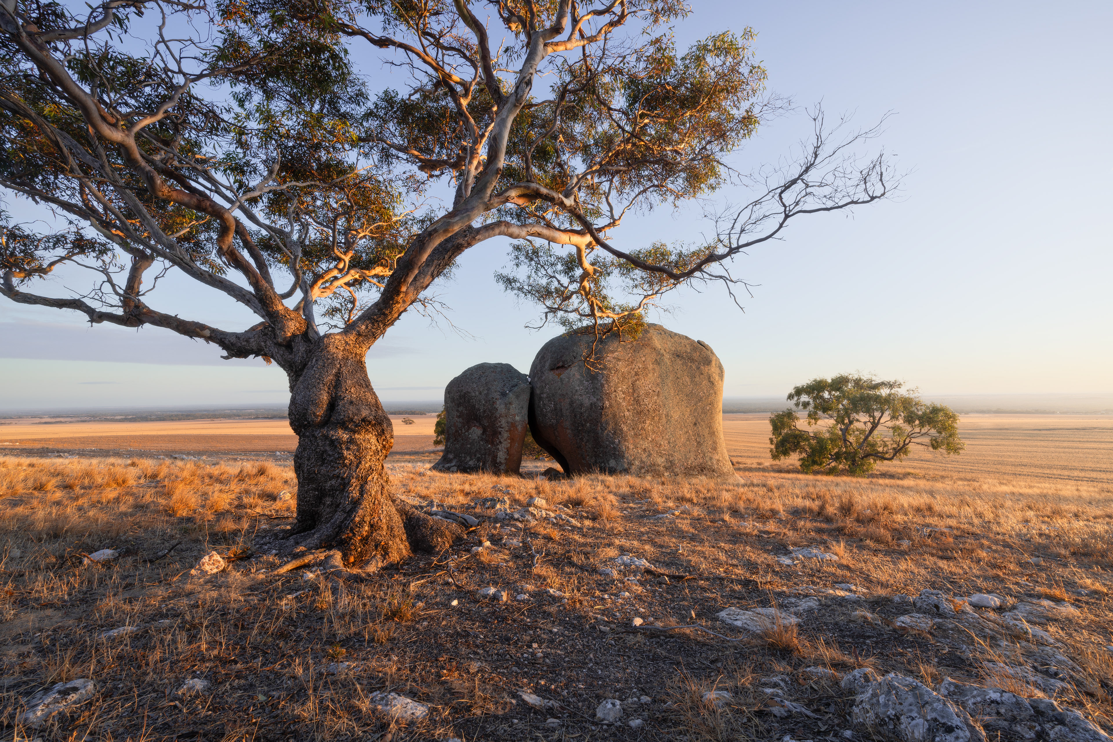 Eyre Peninsula, SA