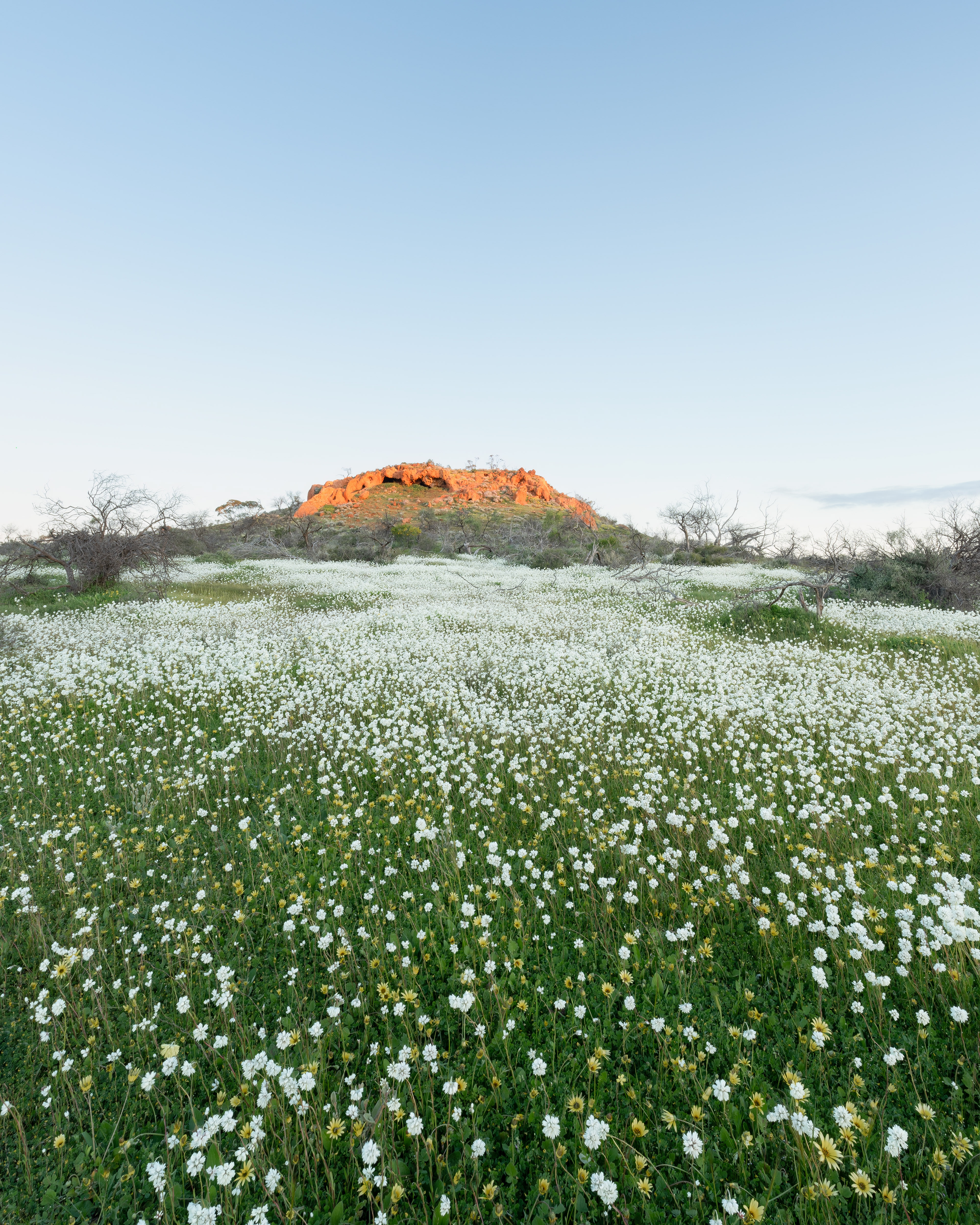 Perenjori 02 (4:5)
