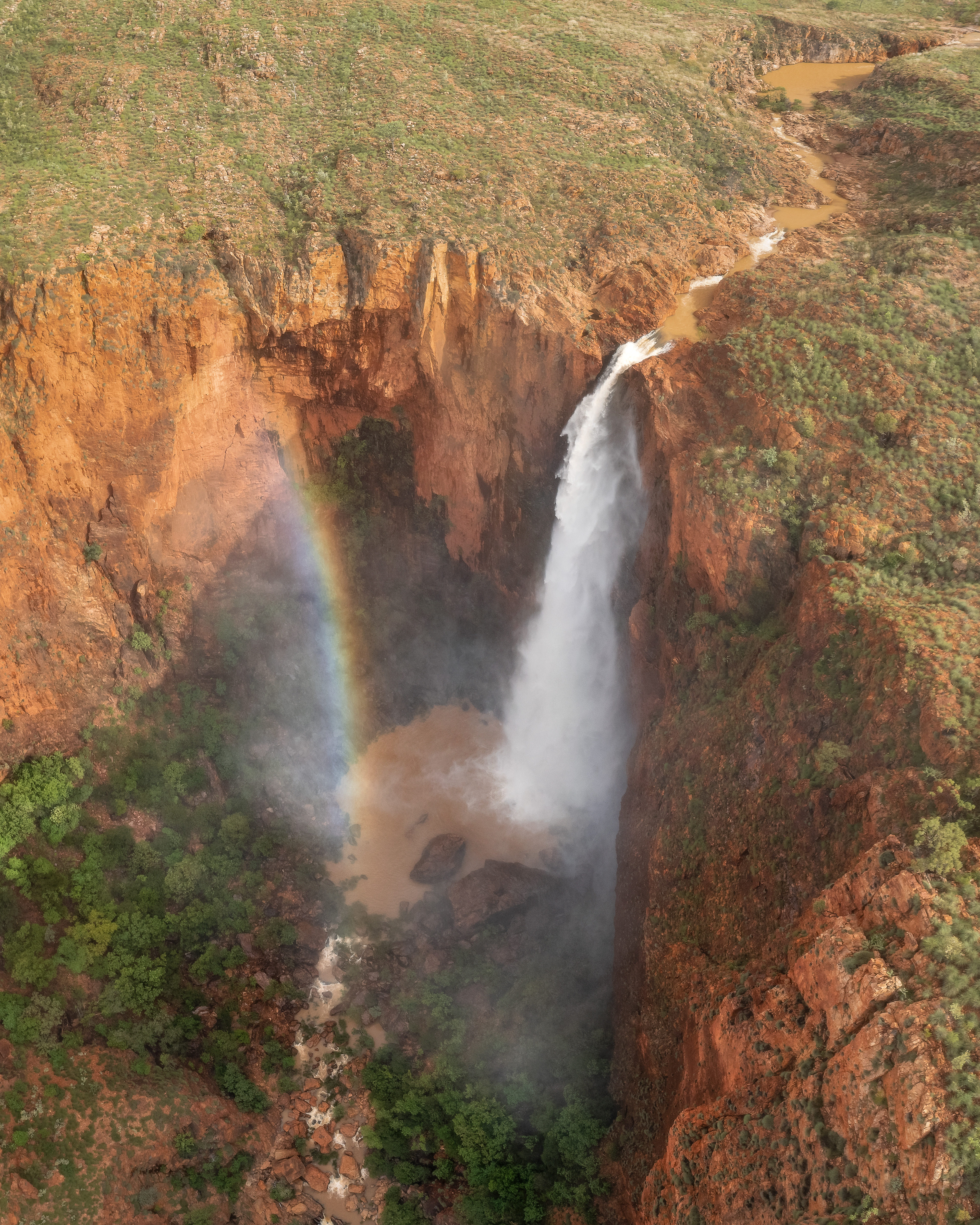 Revolver & The Rainbow