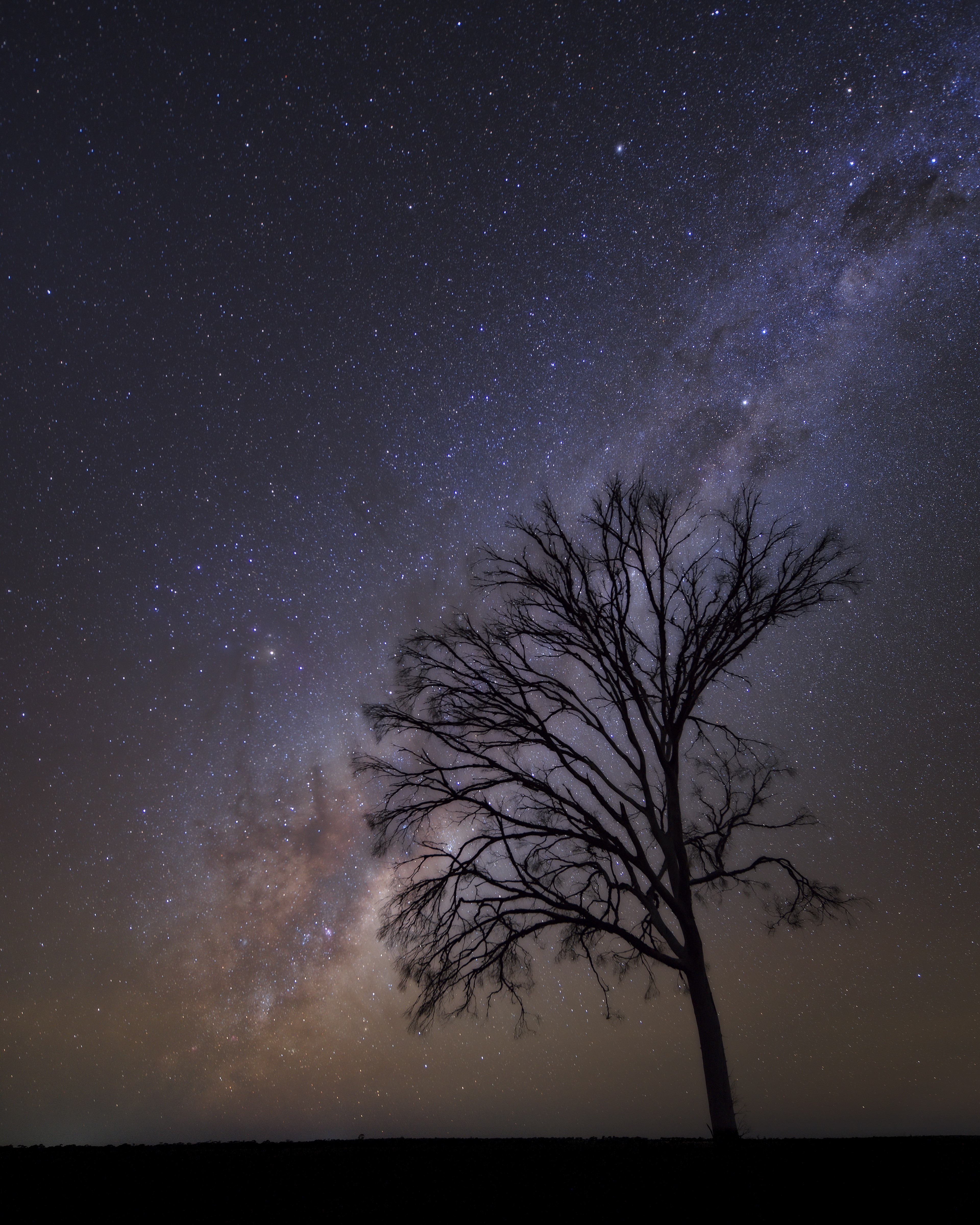 Silhouettes And Stars