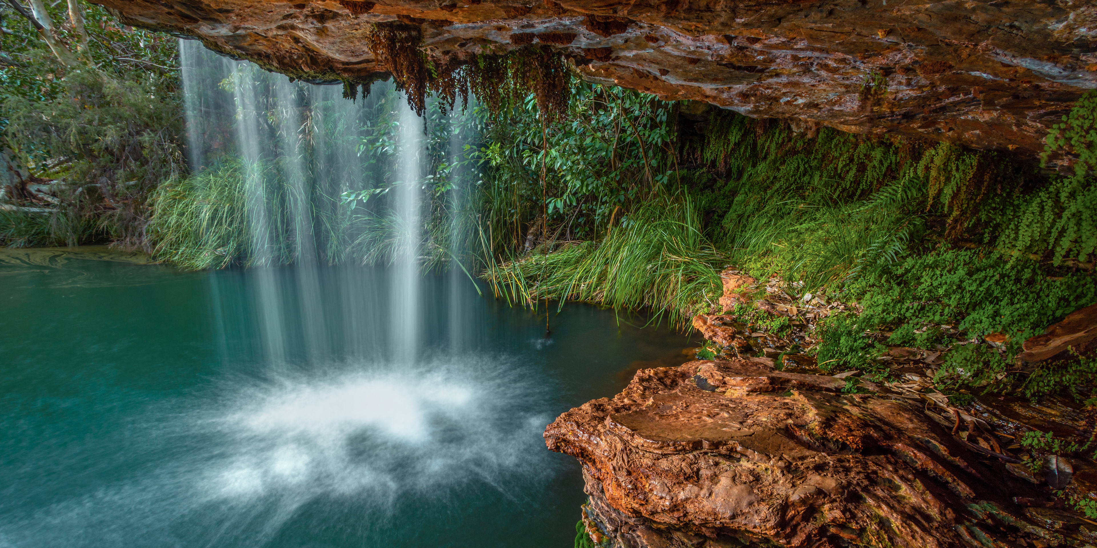 Fern Pool 01 (1:2/2:3)
