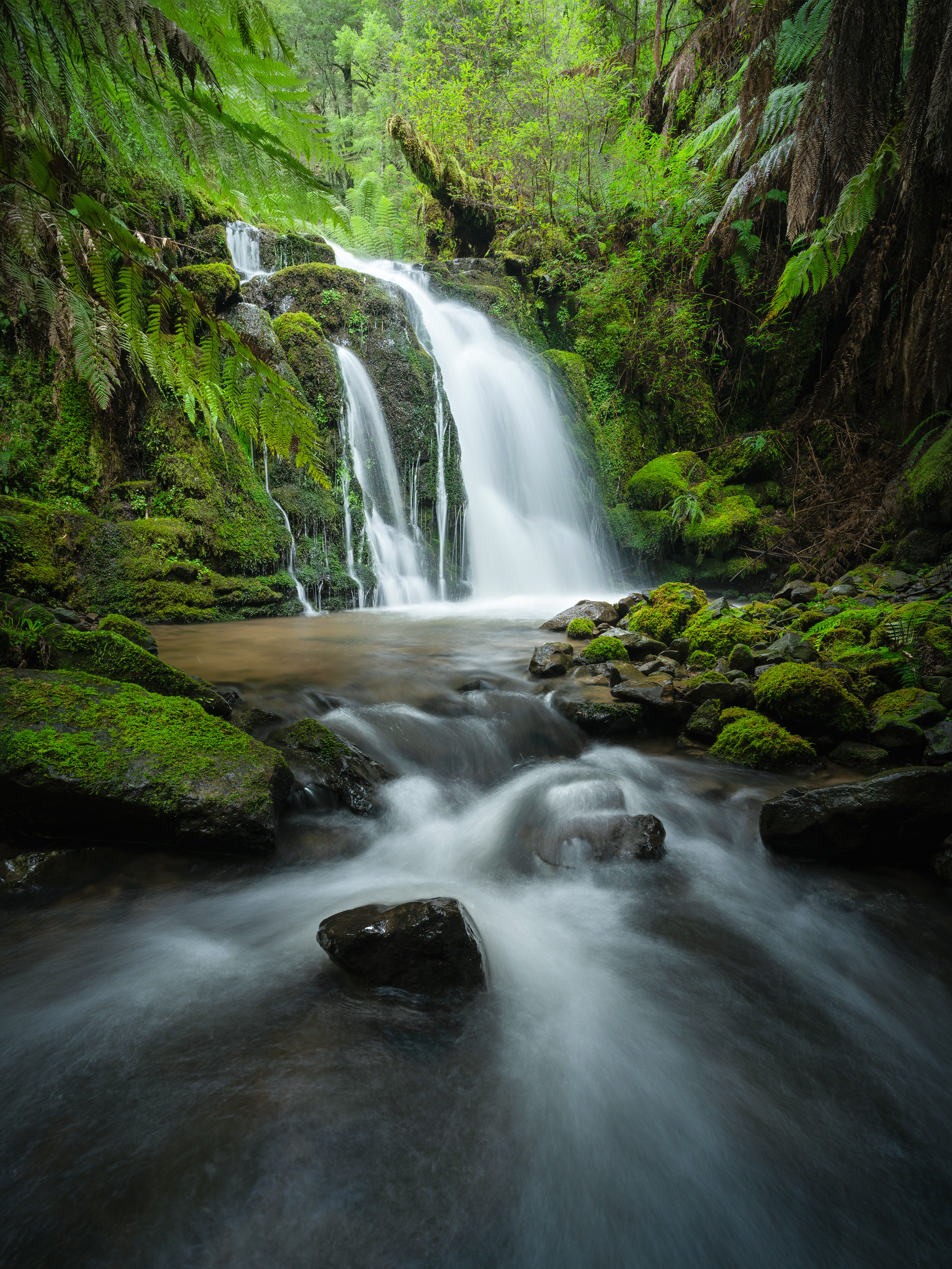 Tarkine Waterfall 07 (4:5)