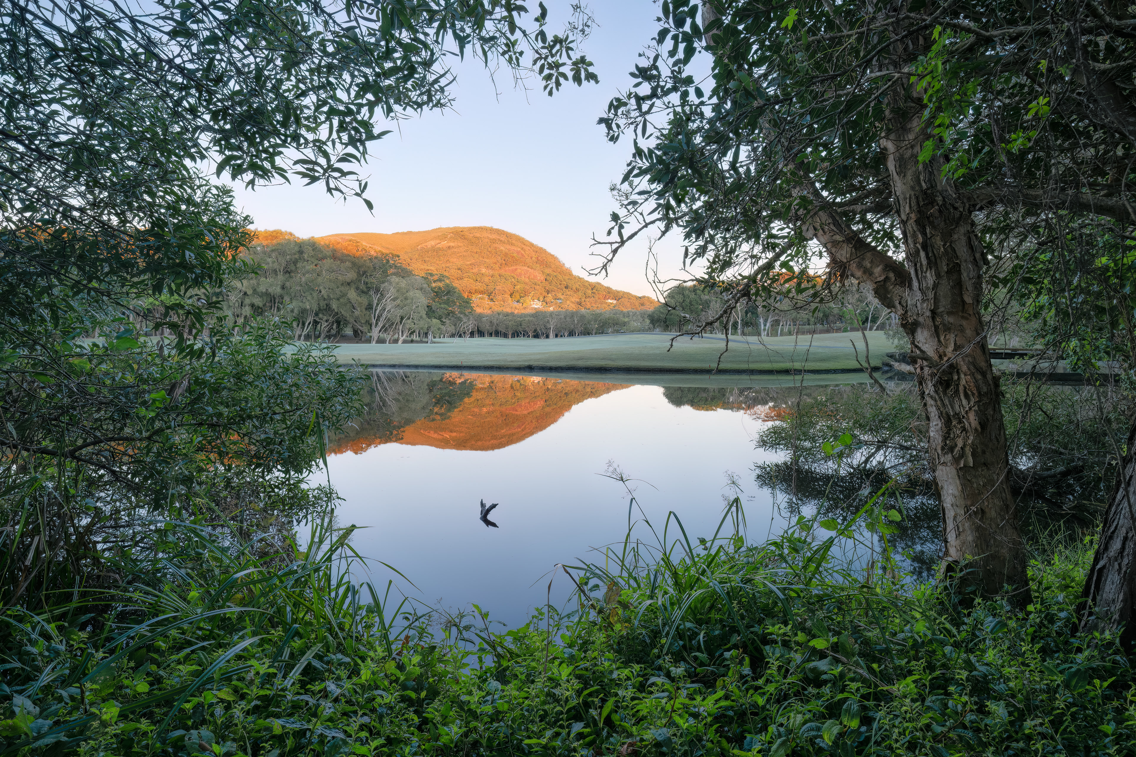 Mount Coolum