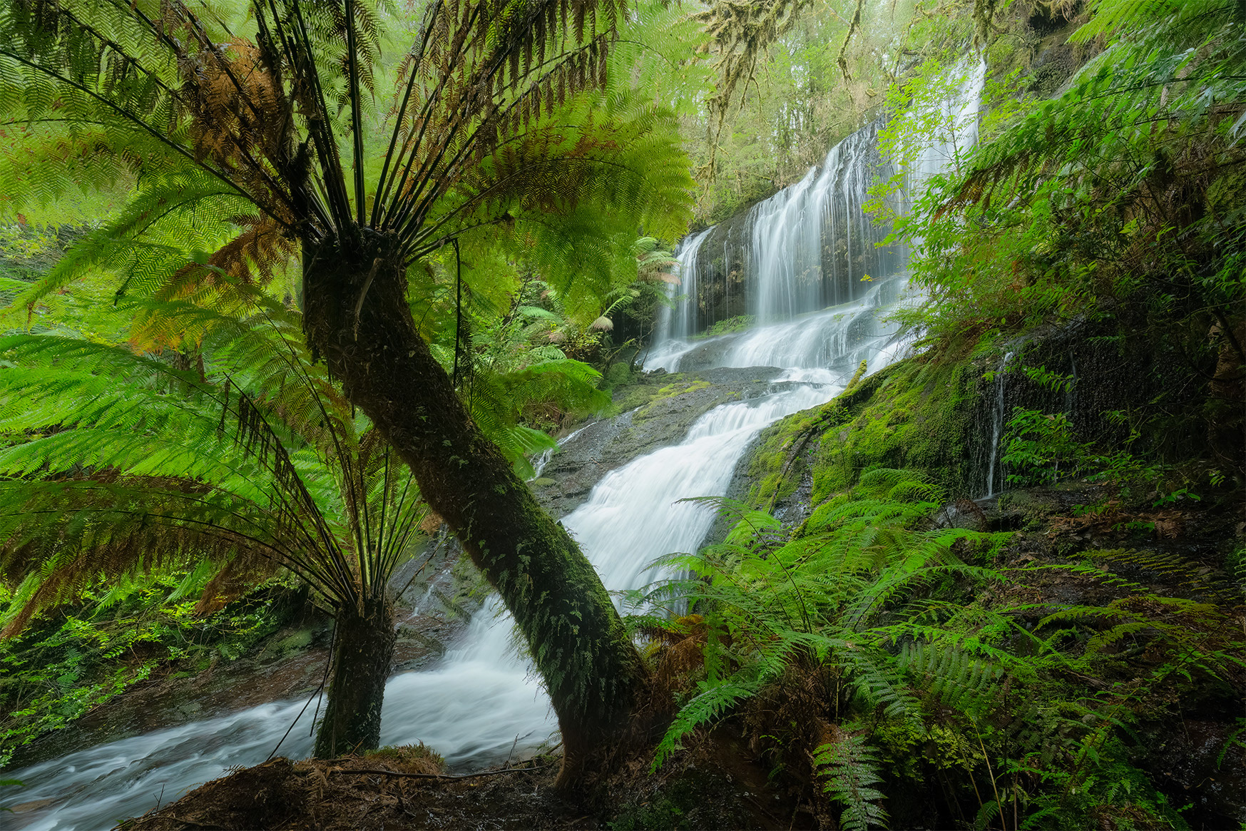 Styx Valley Waterfall (2:3)