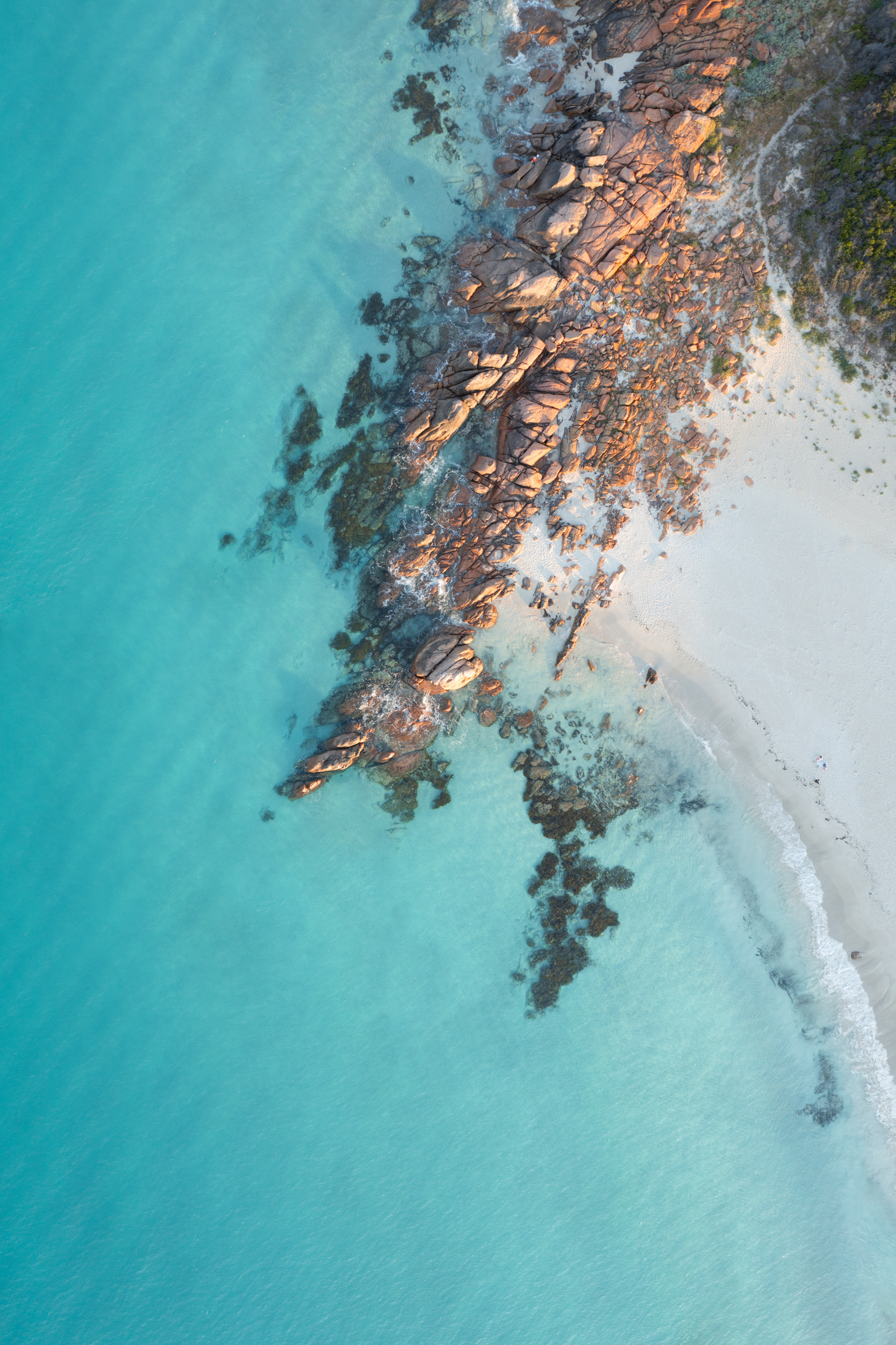 Point Picquet From Above (2:3 Ratio)