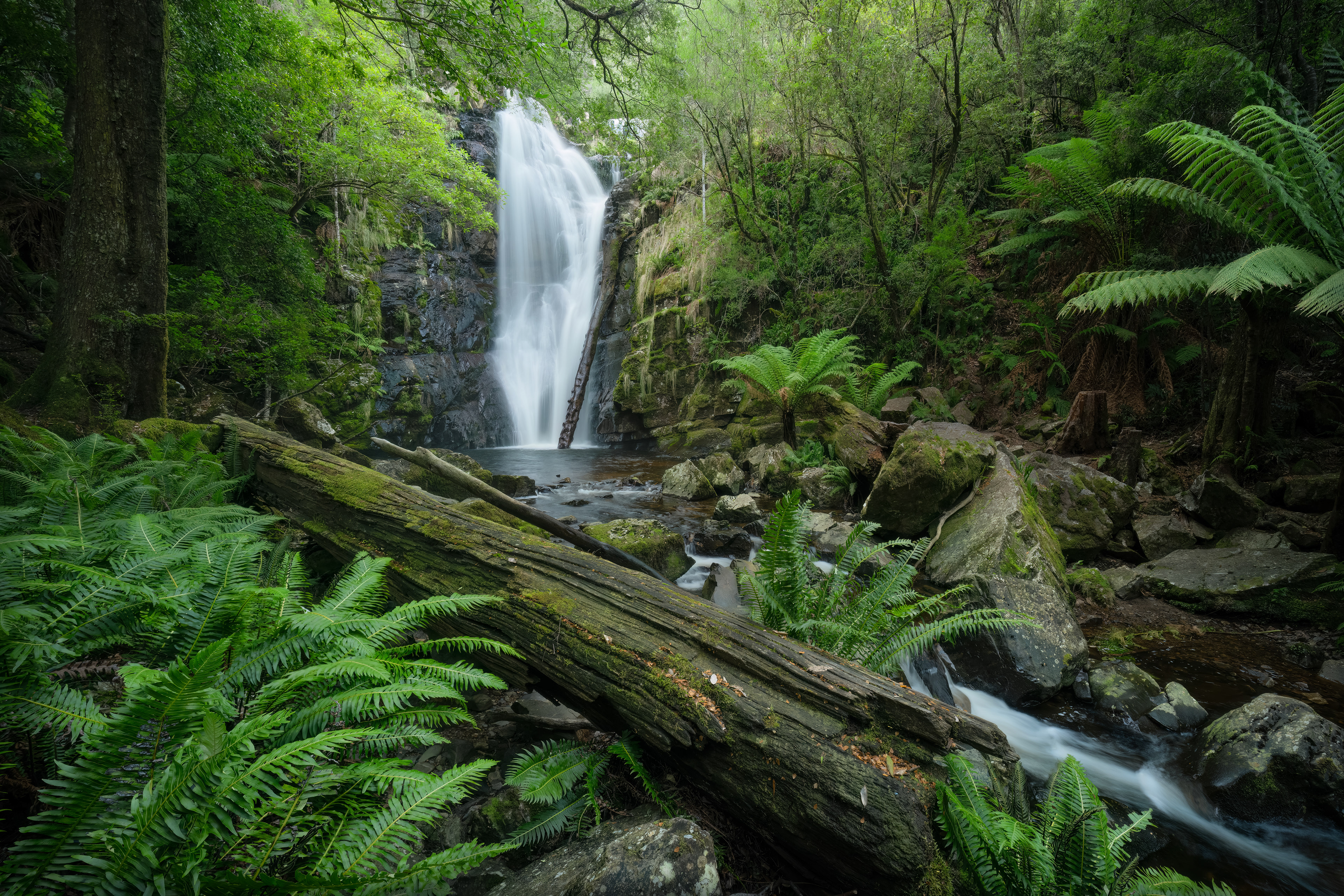 Mathinna Falls (2:3)
