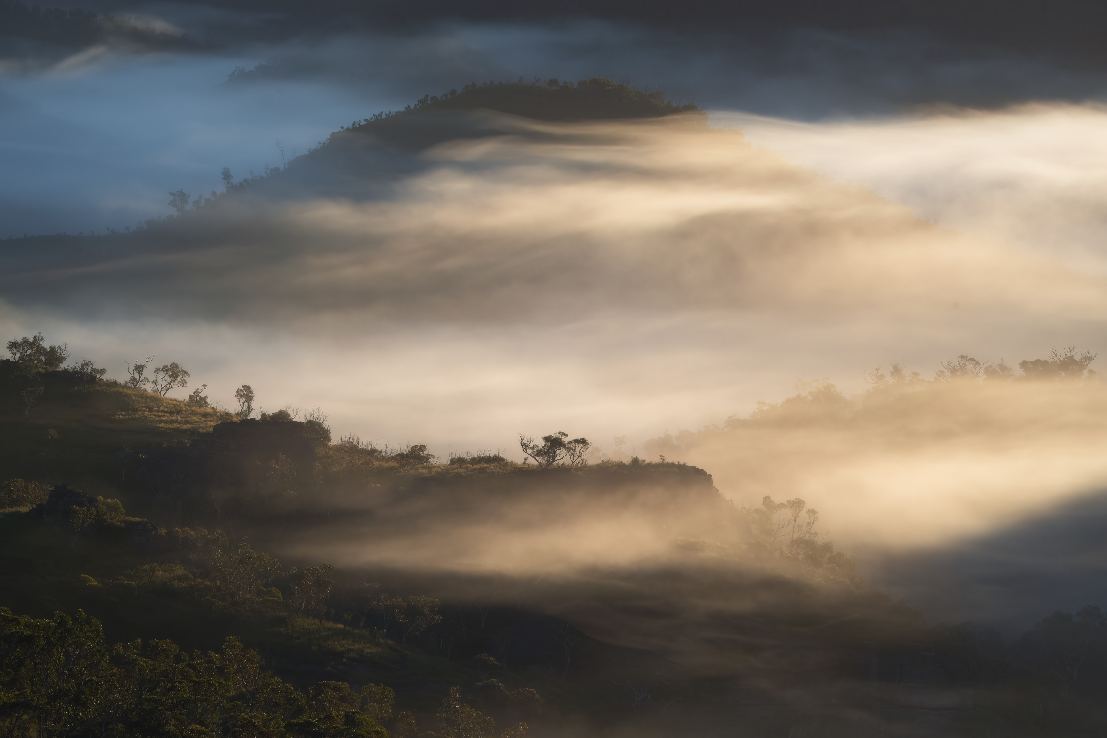 Mist In The Blue Mountains
