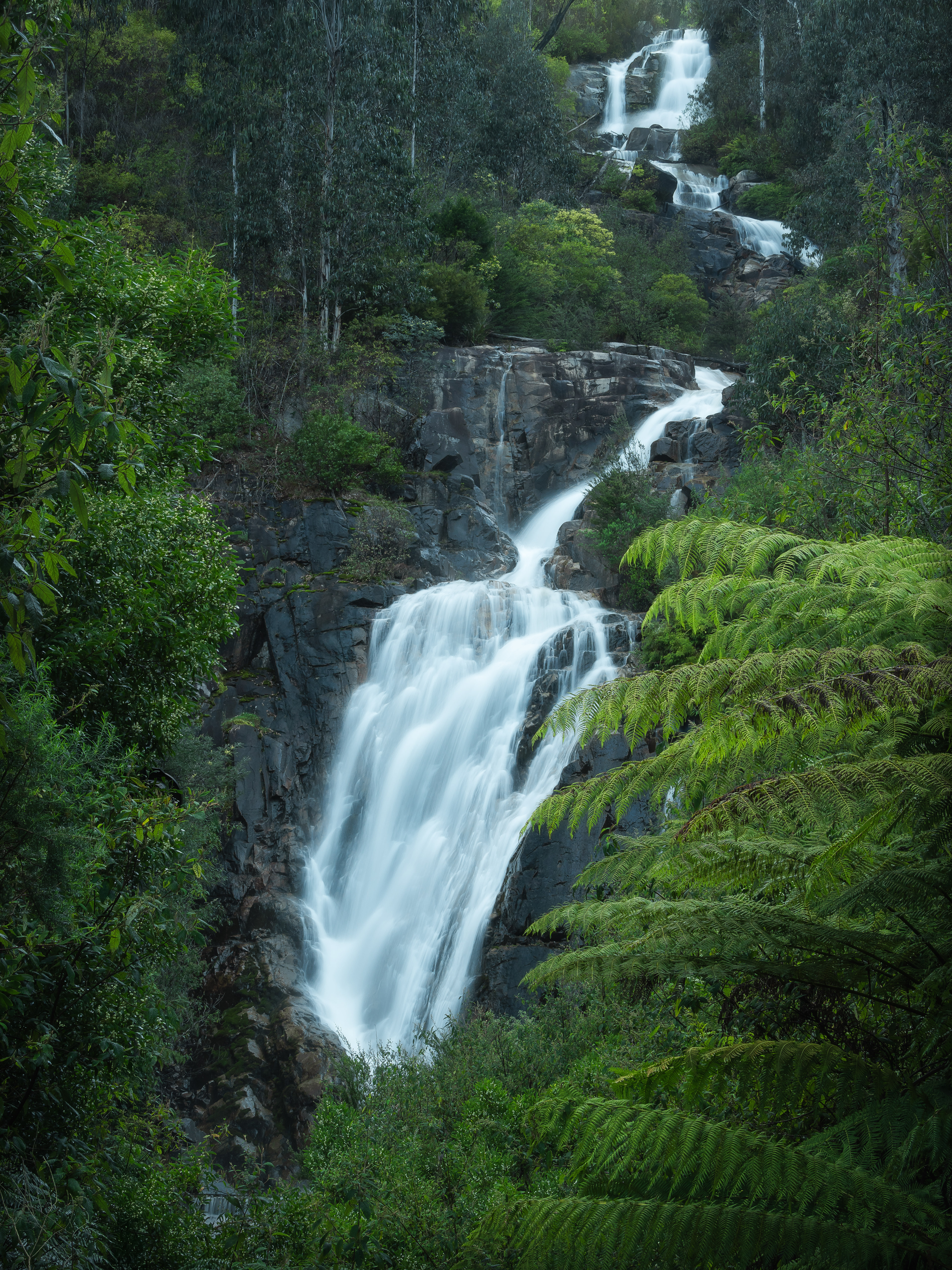Steavenson Falls 02