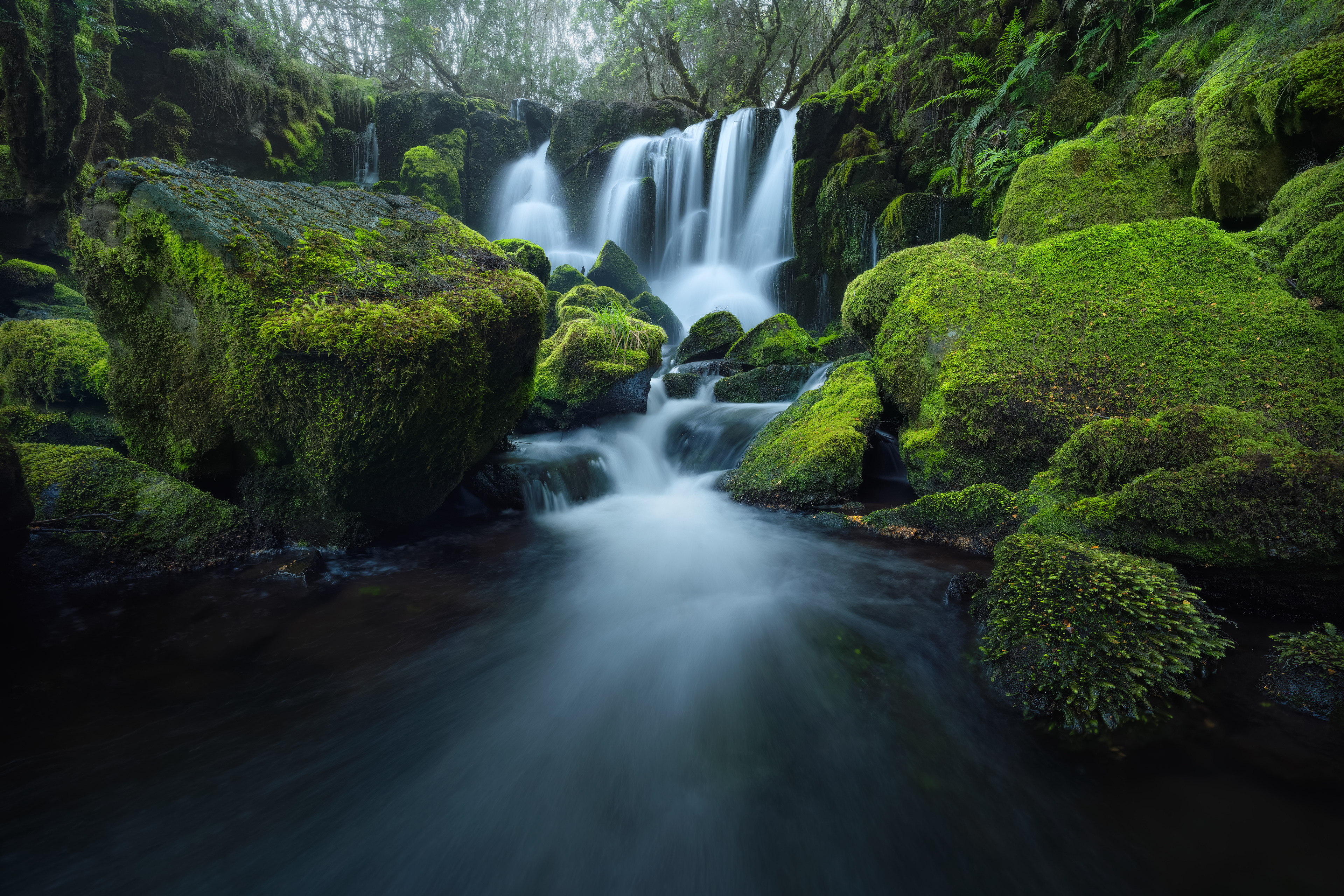 Tarkine Waterfall