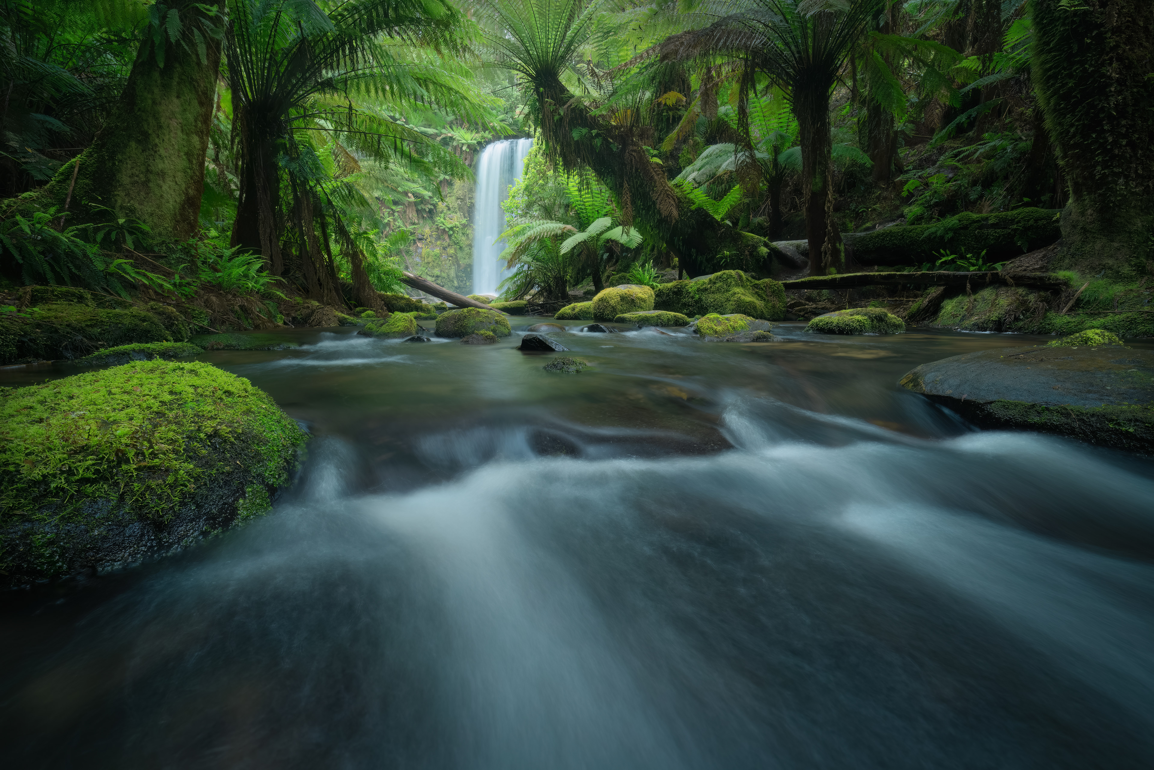 Beauchamp Falls is a 20 metre tall waterfall surrounded by ferns and rainforest.