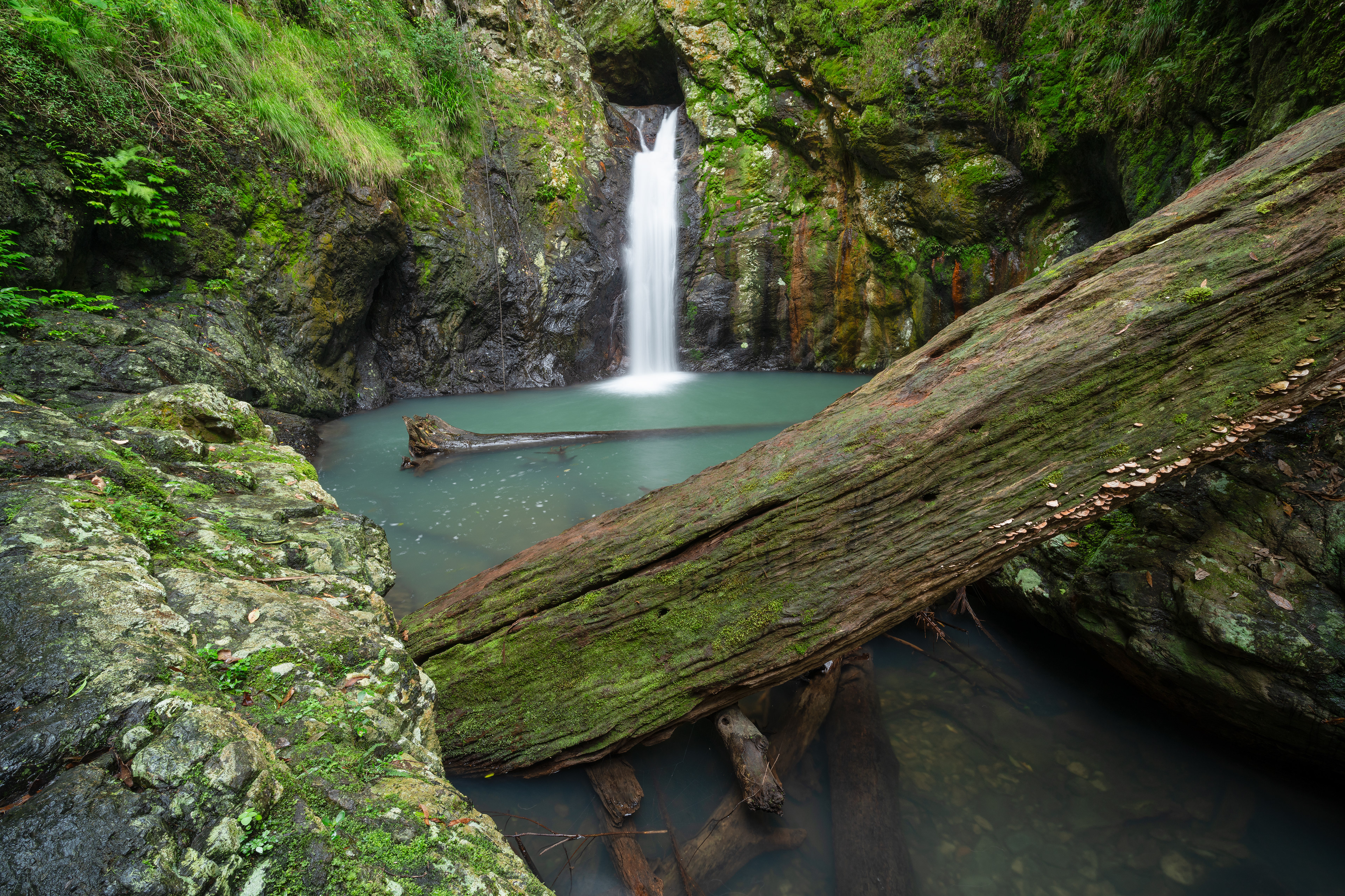 Springbrook Secret 03