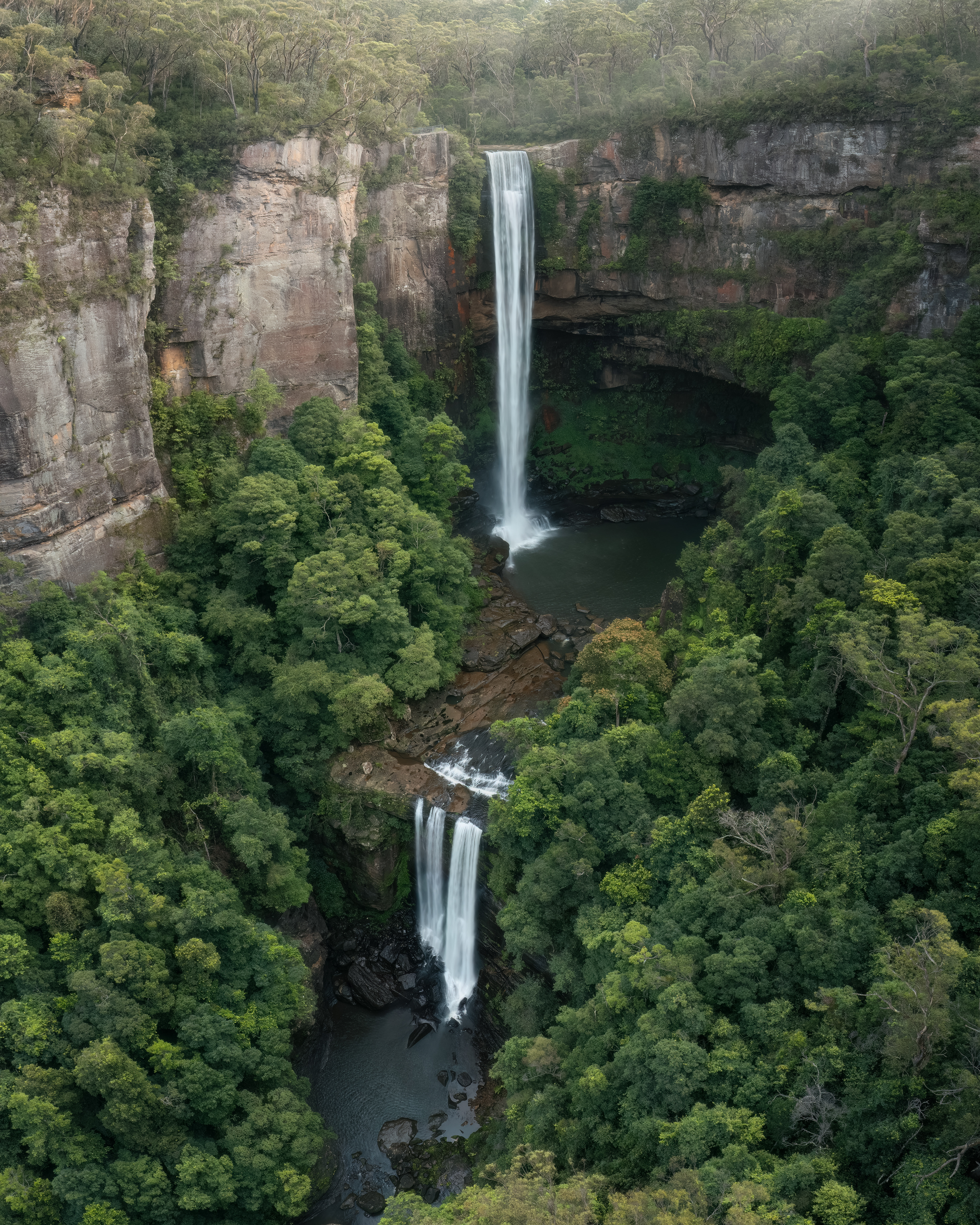 Belmore Falls surrounded by dense forest with scenic cliffs