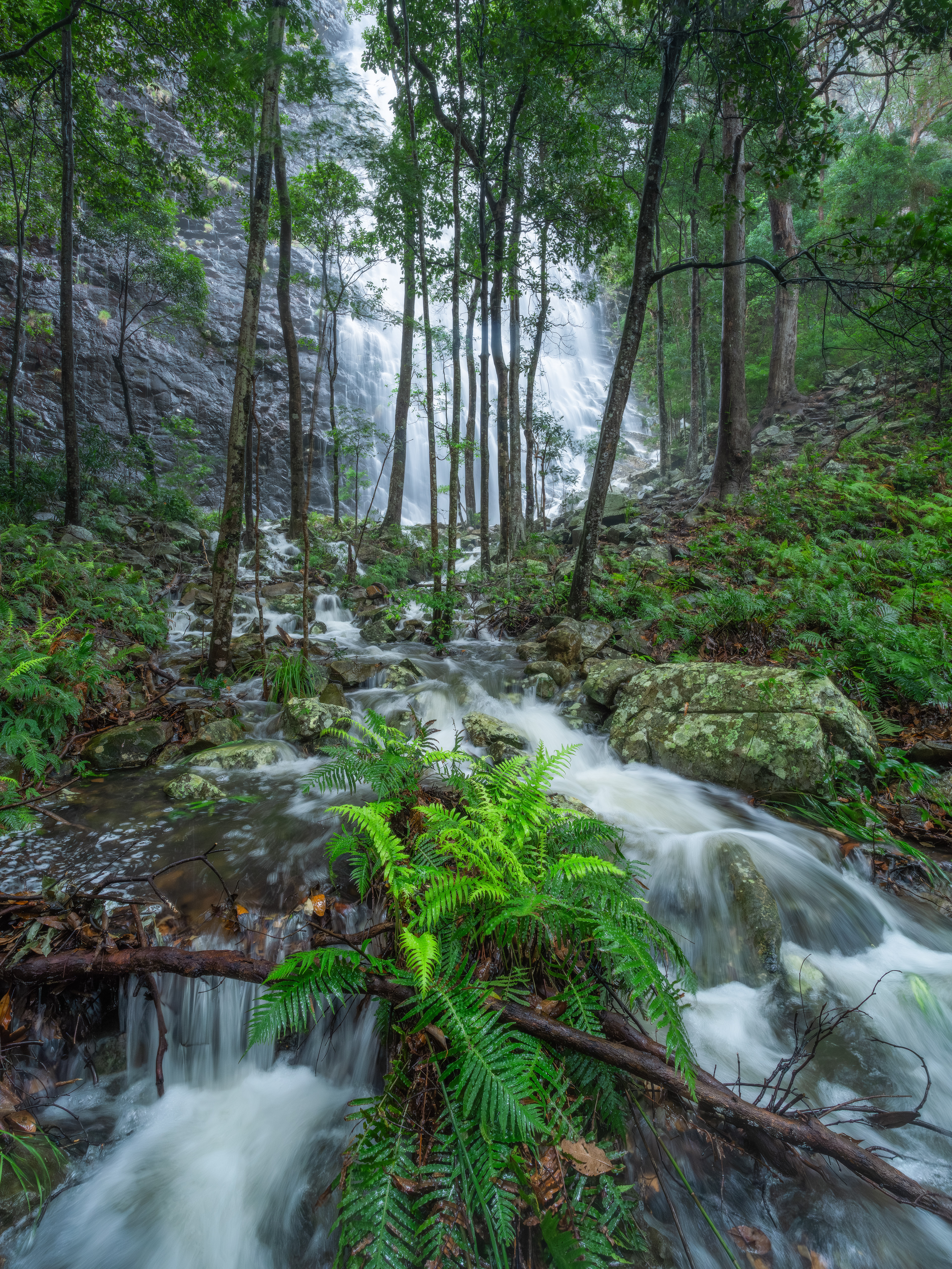 Mount Coolum Waterfalls 04