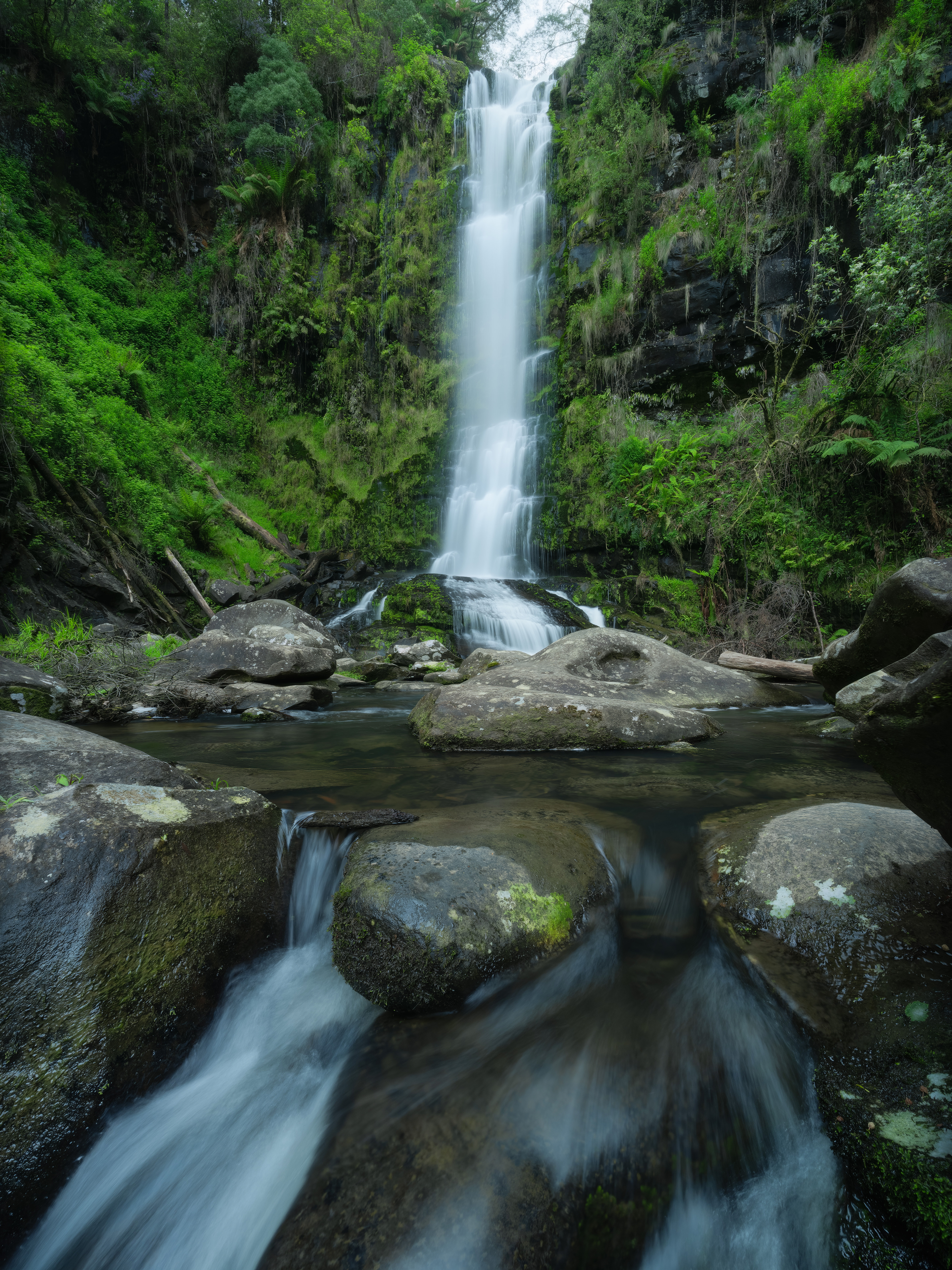 Erskine Falls cascades 30m into the green valley below.