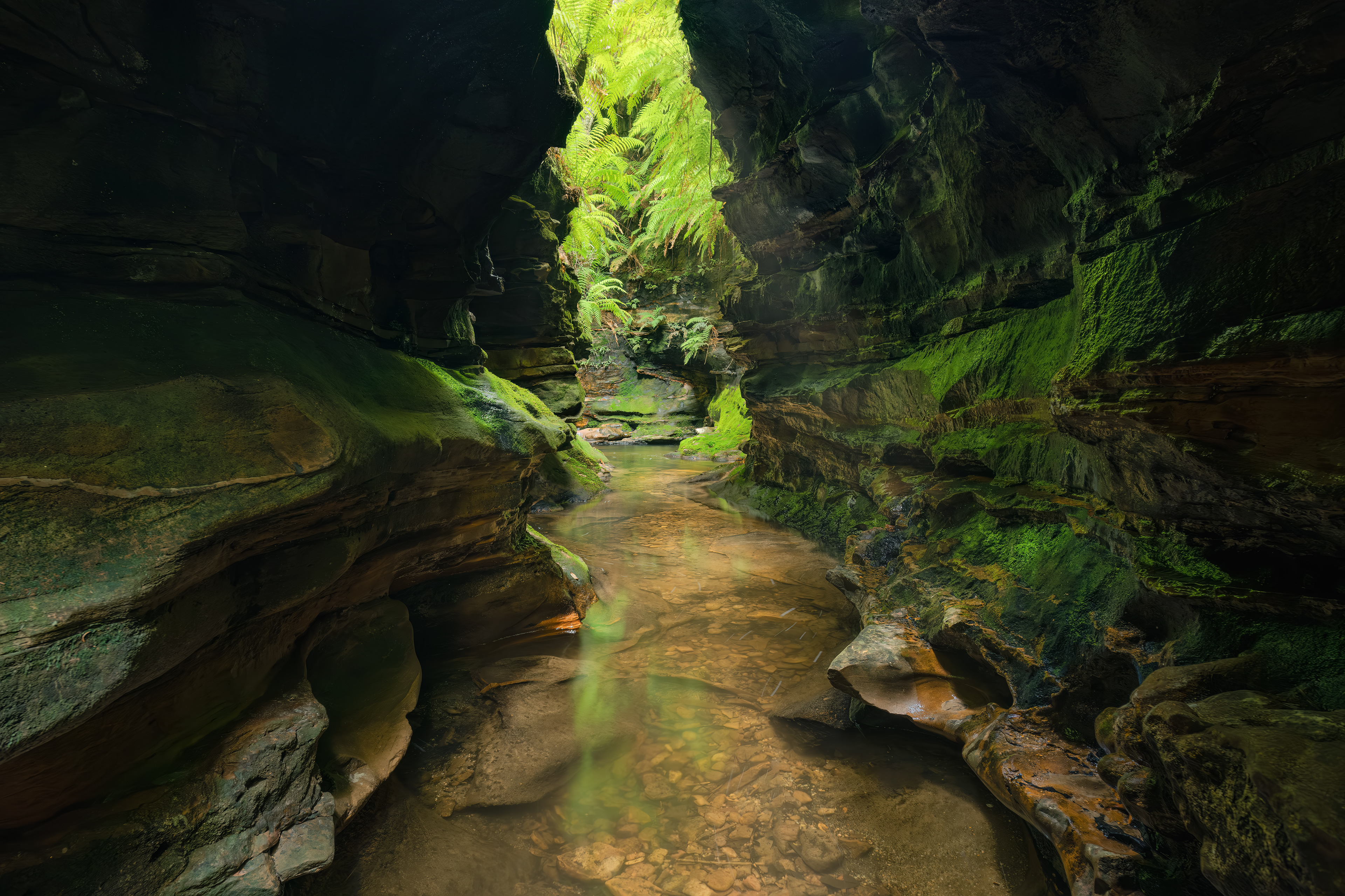 Corkscrew Canyon