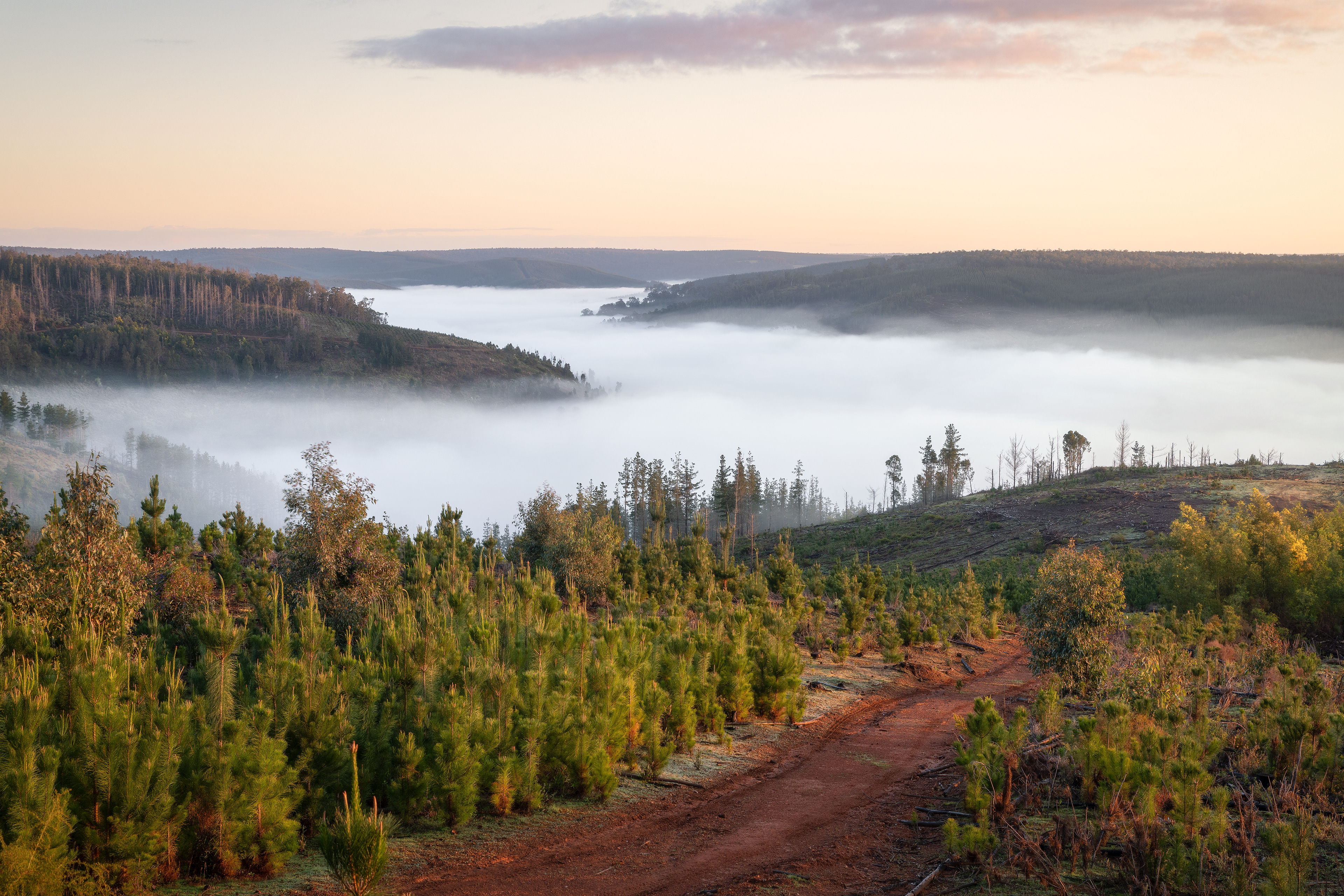 Blackwood River Valley