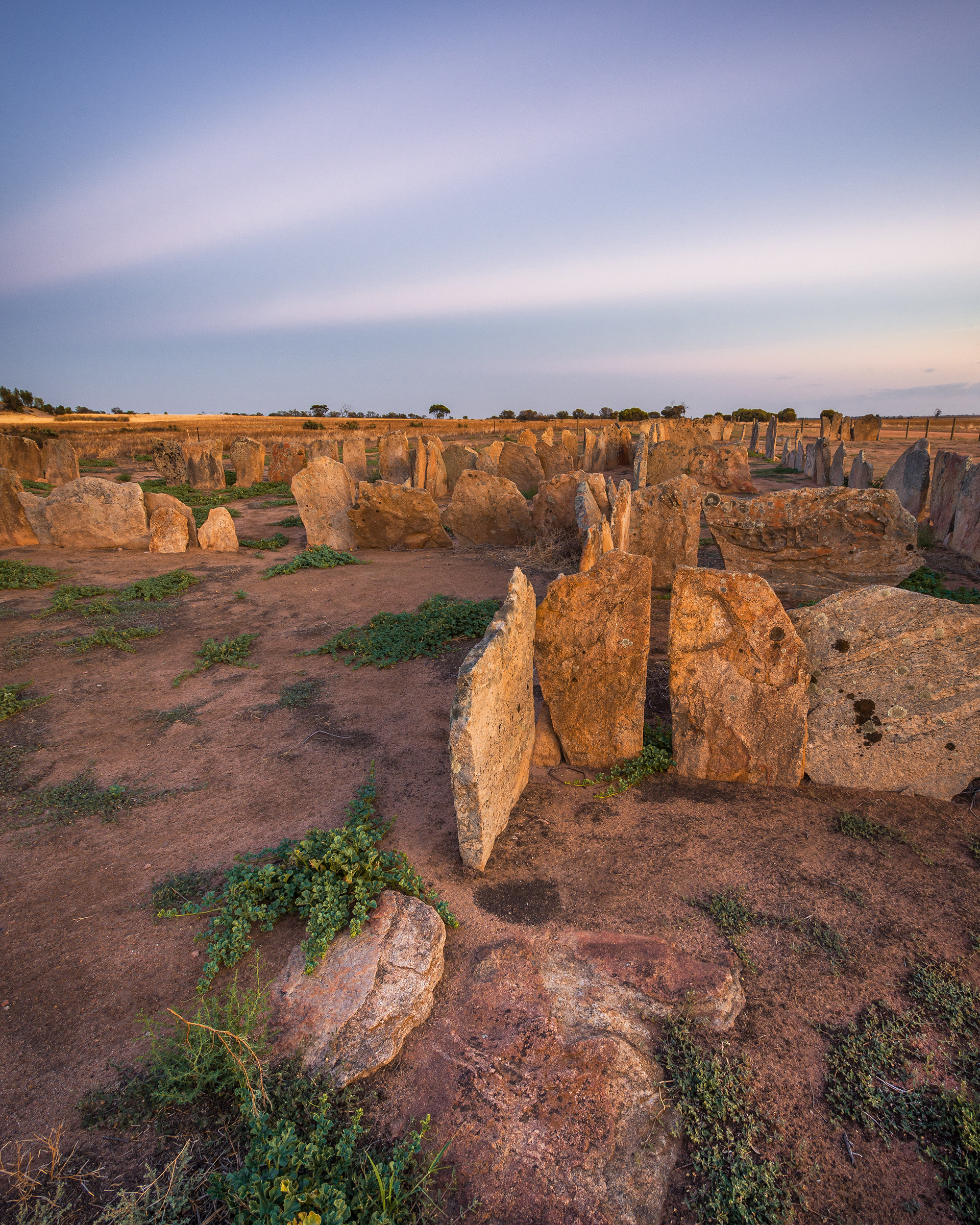 Pergandes Sheepyards