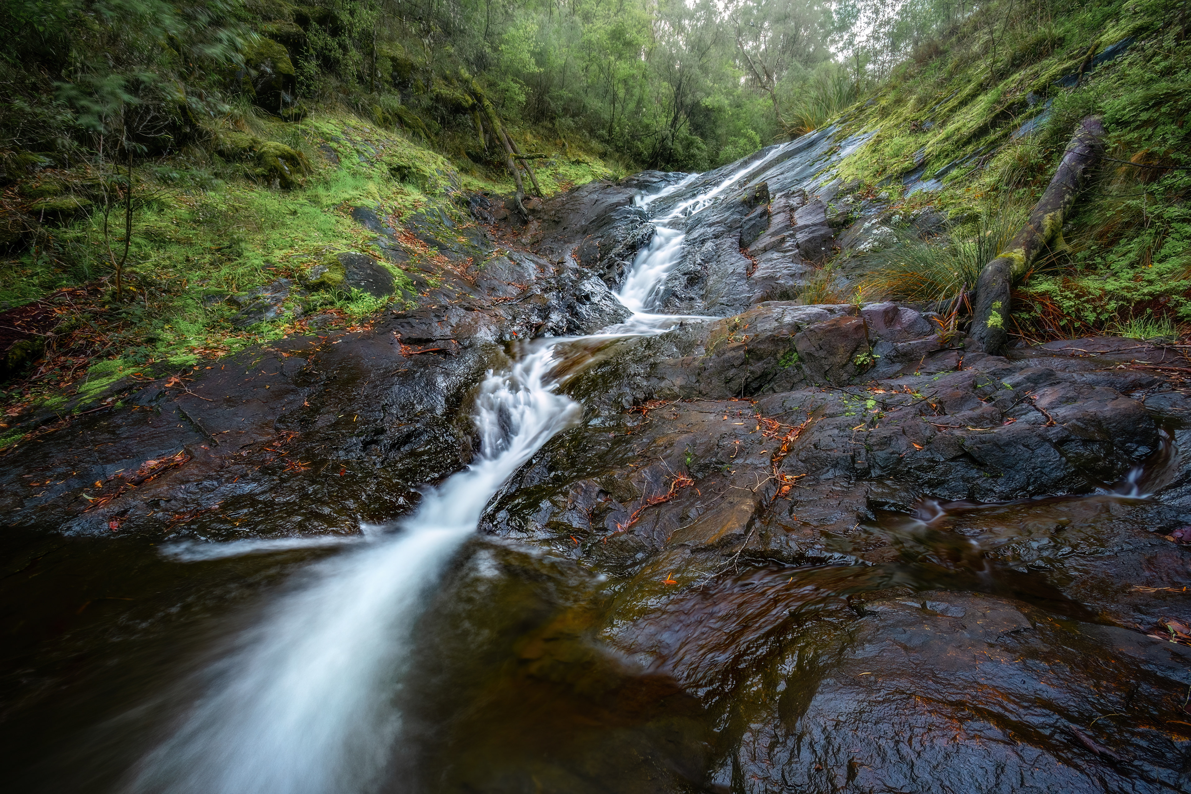 Beedelup Falls Lower
