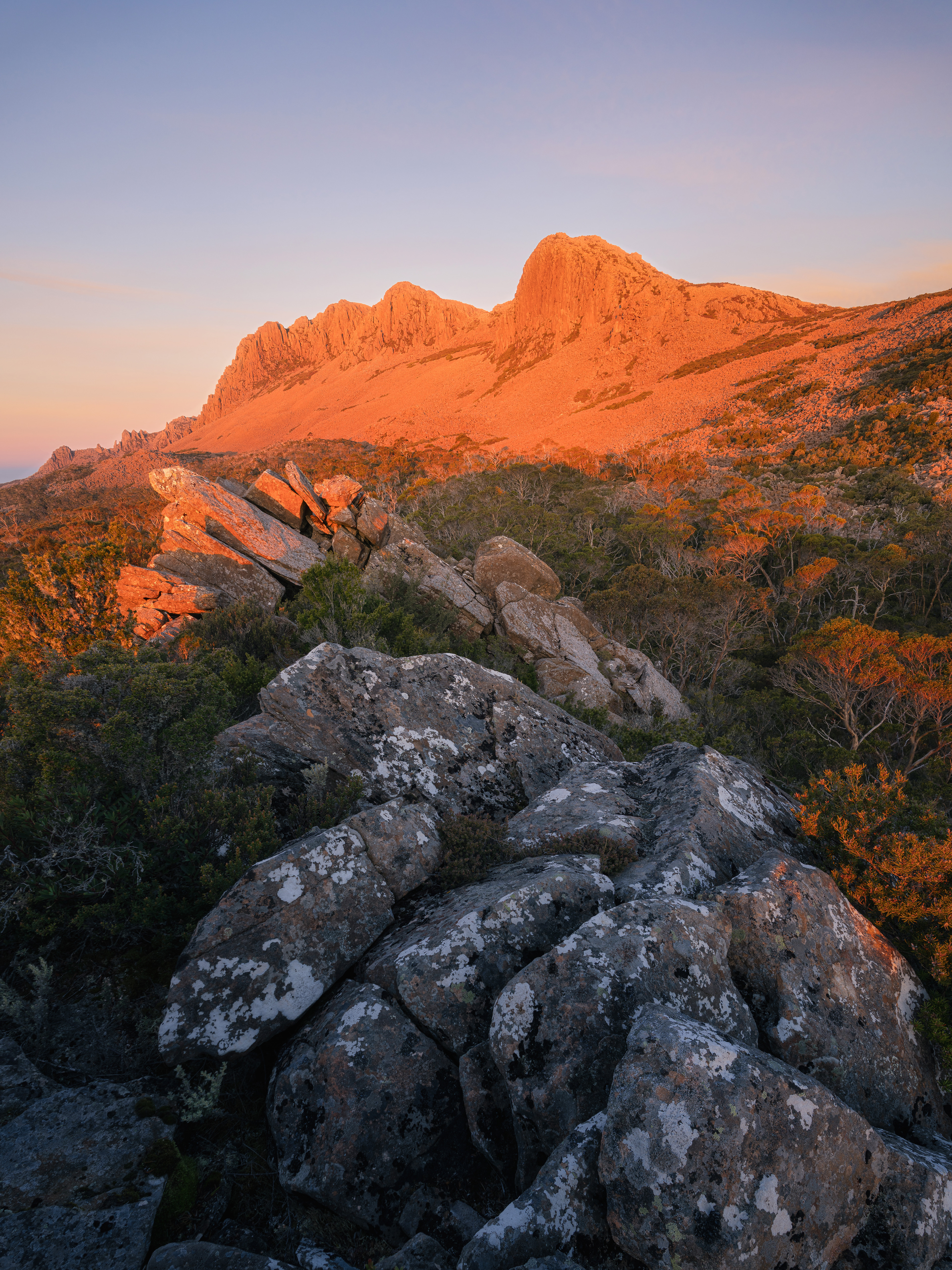 Misery & Company, Ben Lomond National Park (4:5)