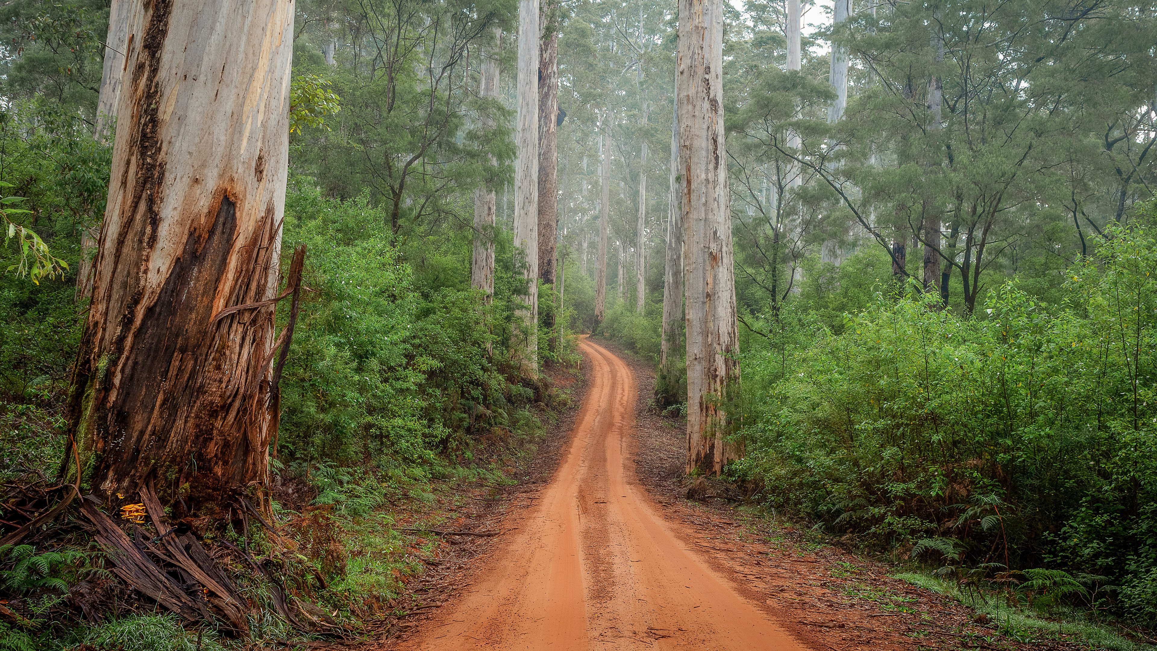 Warren National Park, WA