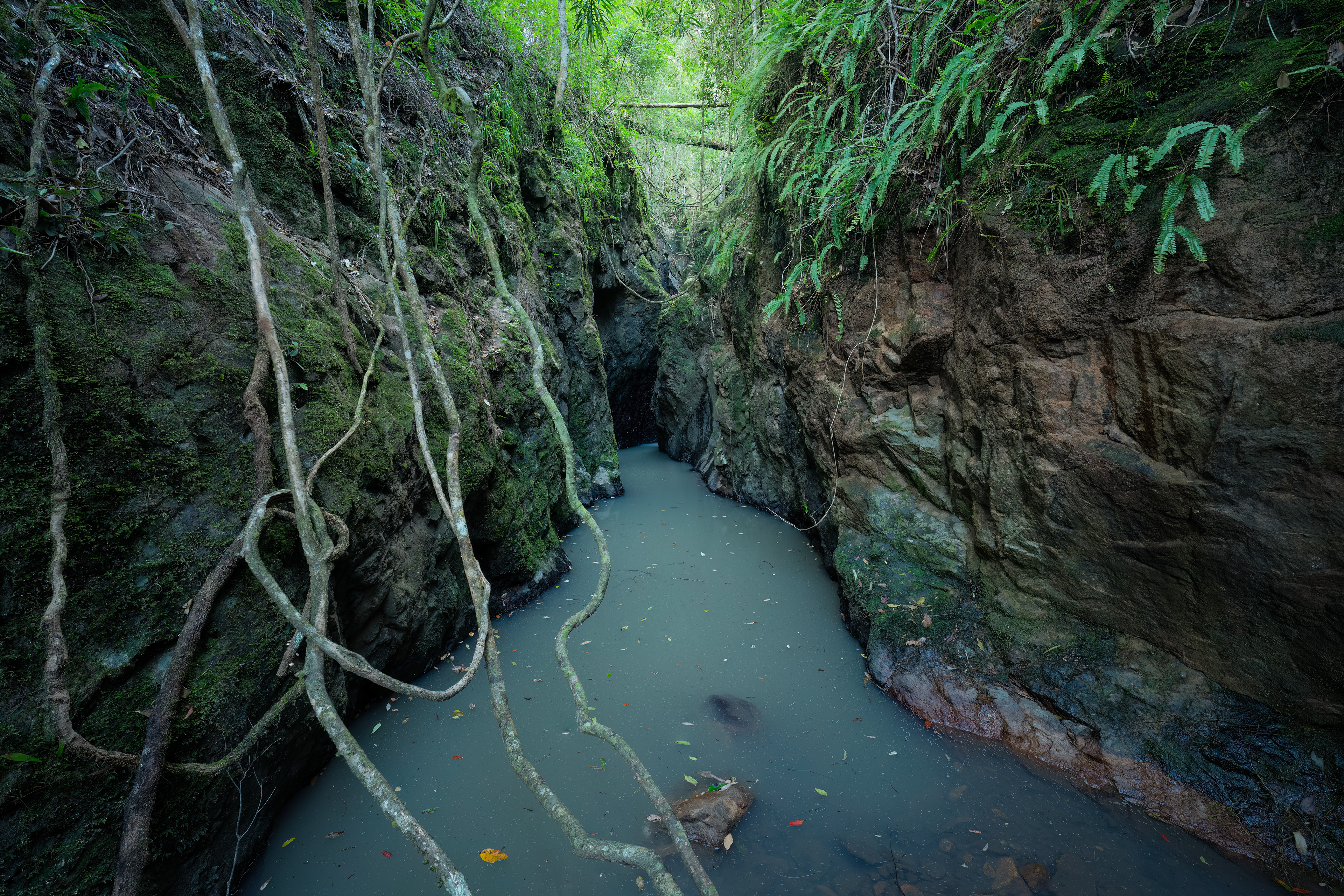 Kondalilla National Park