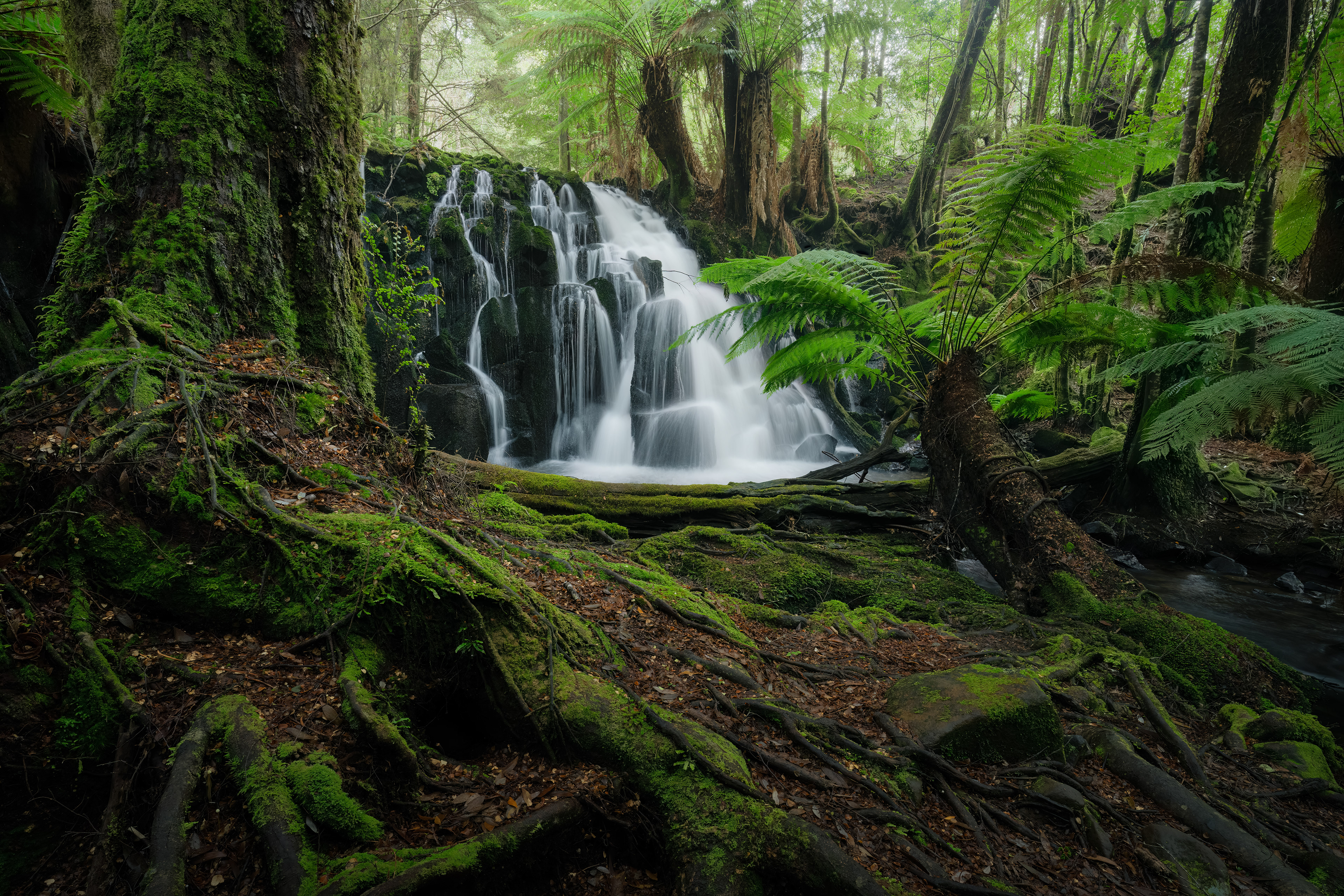 Upper Cam Falls