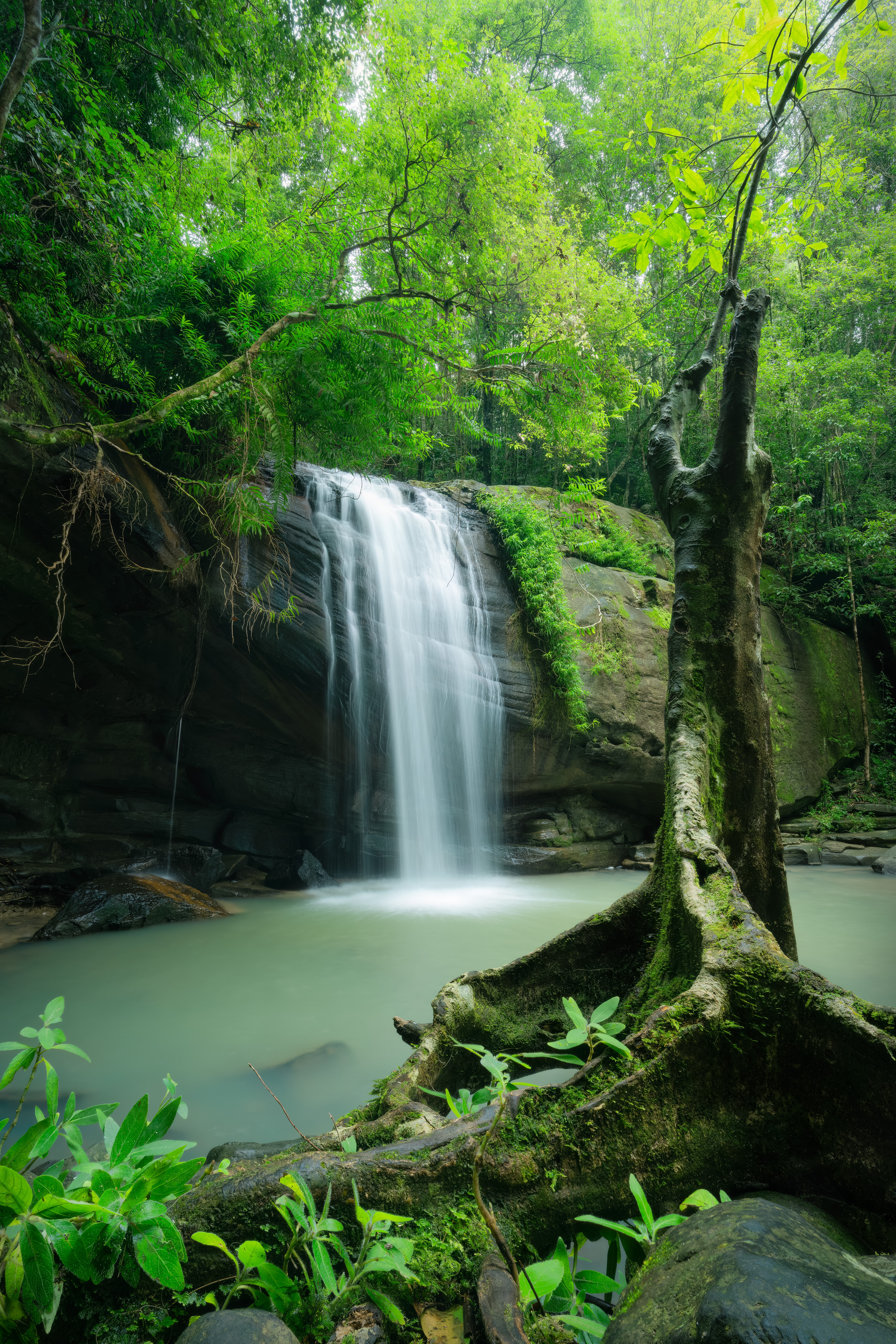 Buderim Falls 02