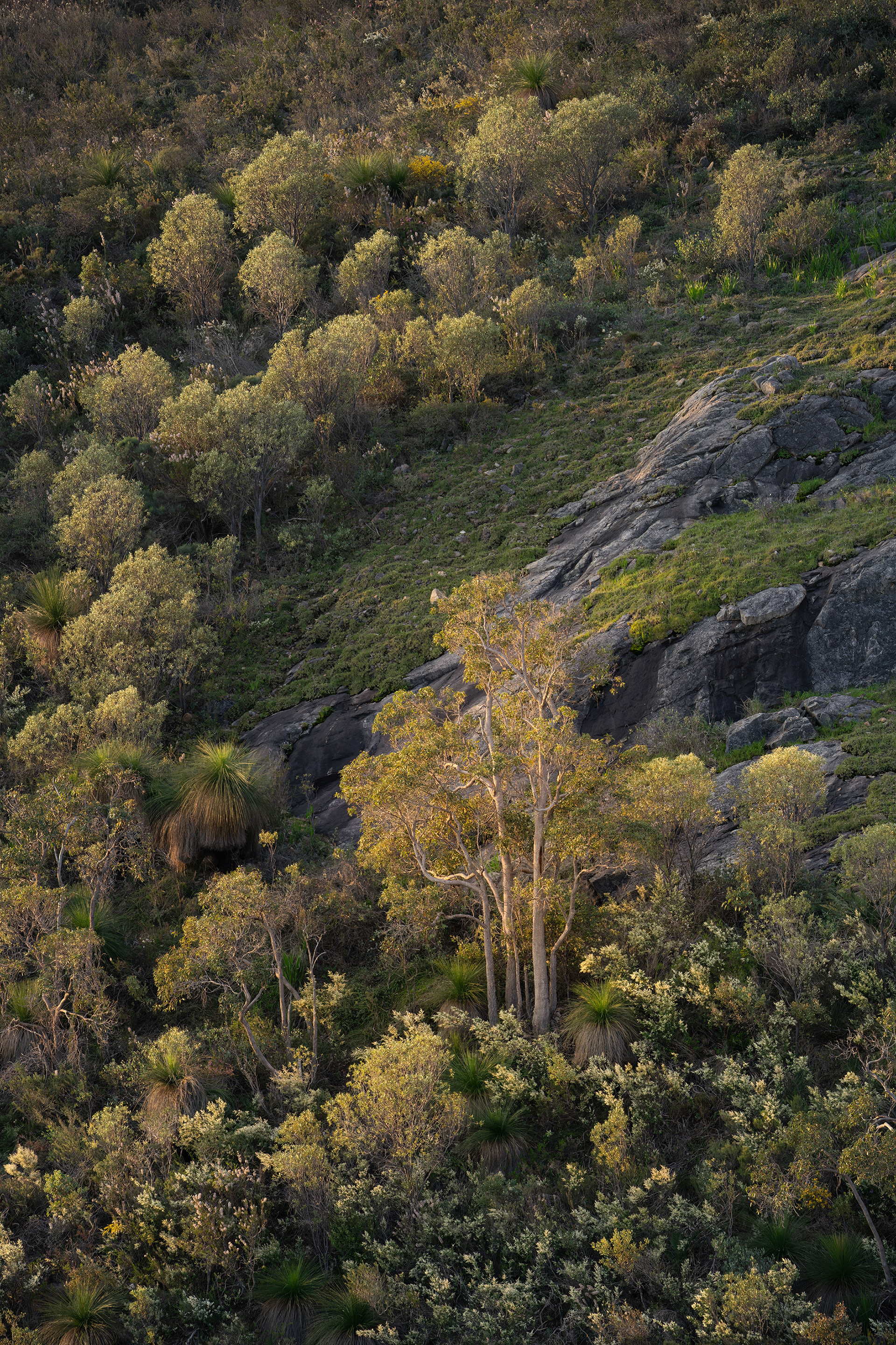 Distant details in the Perth Hills.