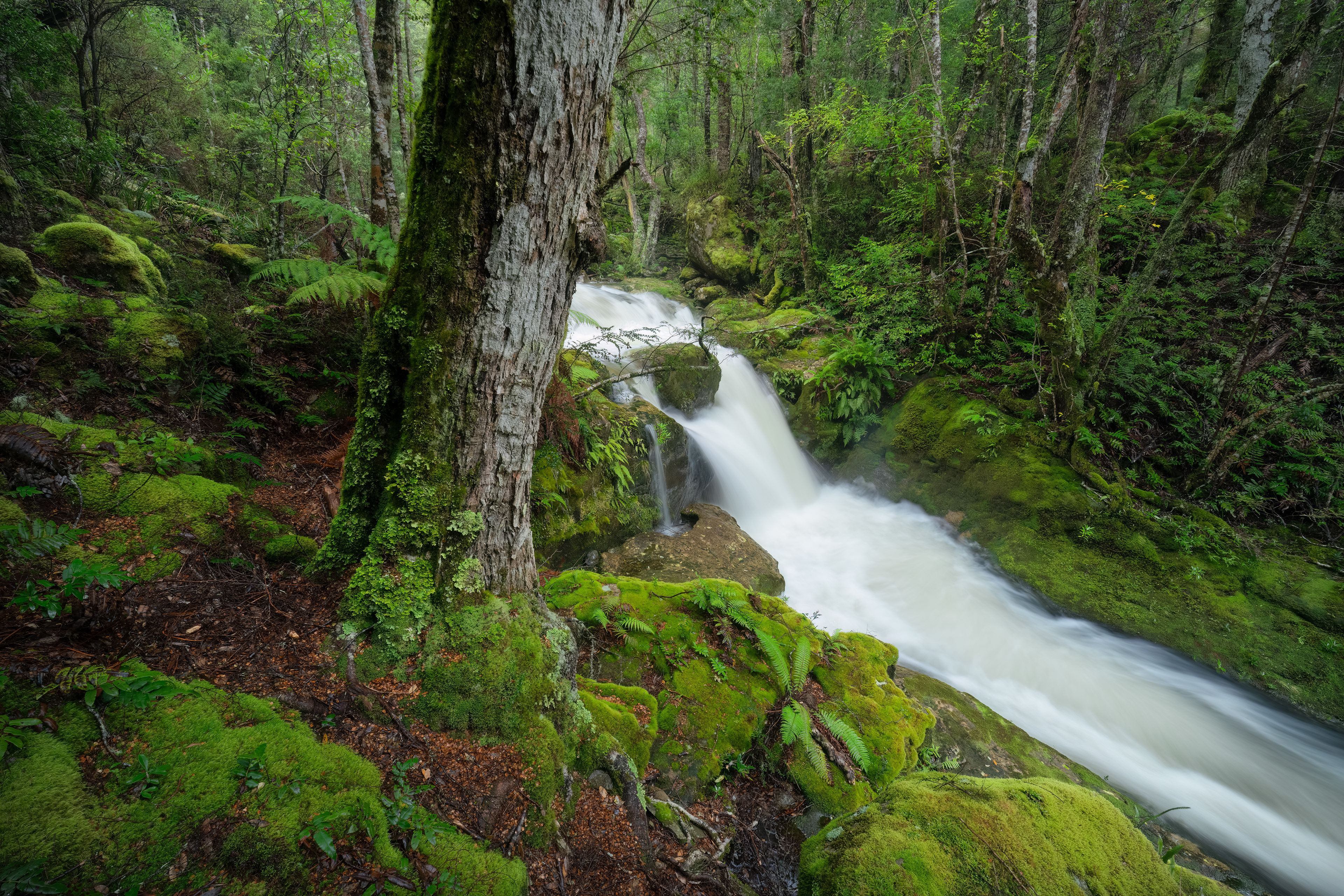 Upper Liffey River (2:3)