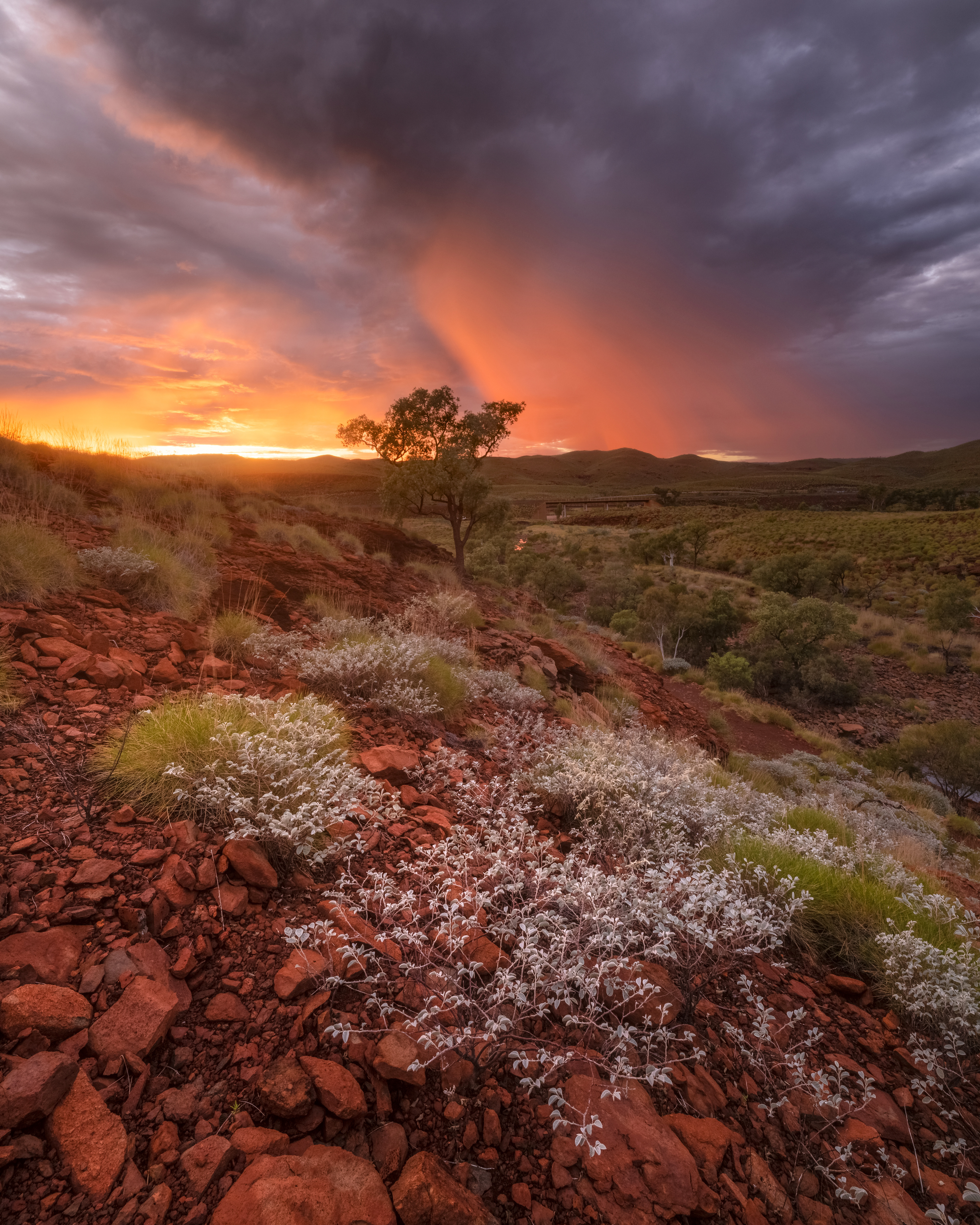 Millstream Sunrise (4:5)