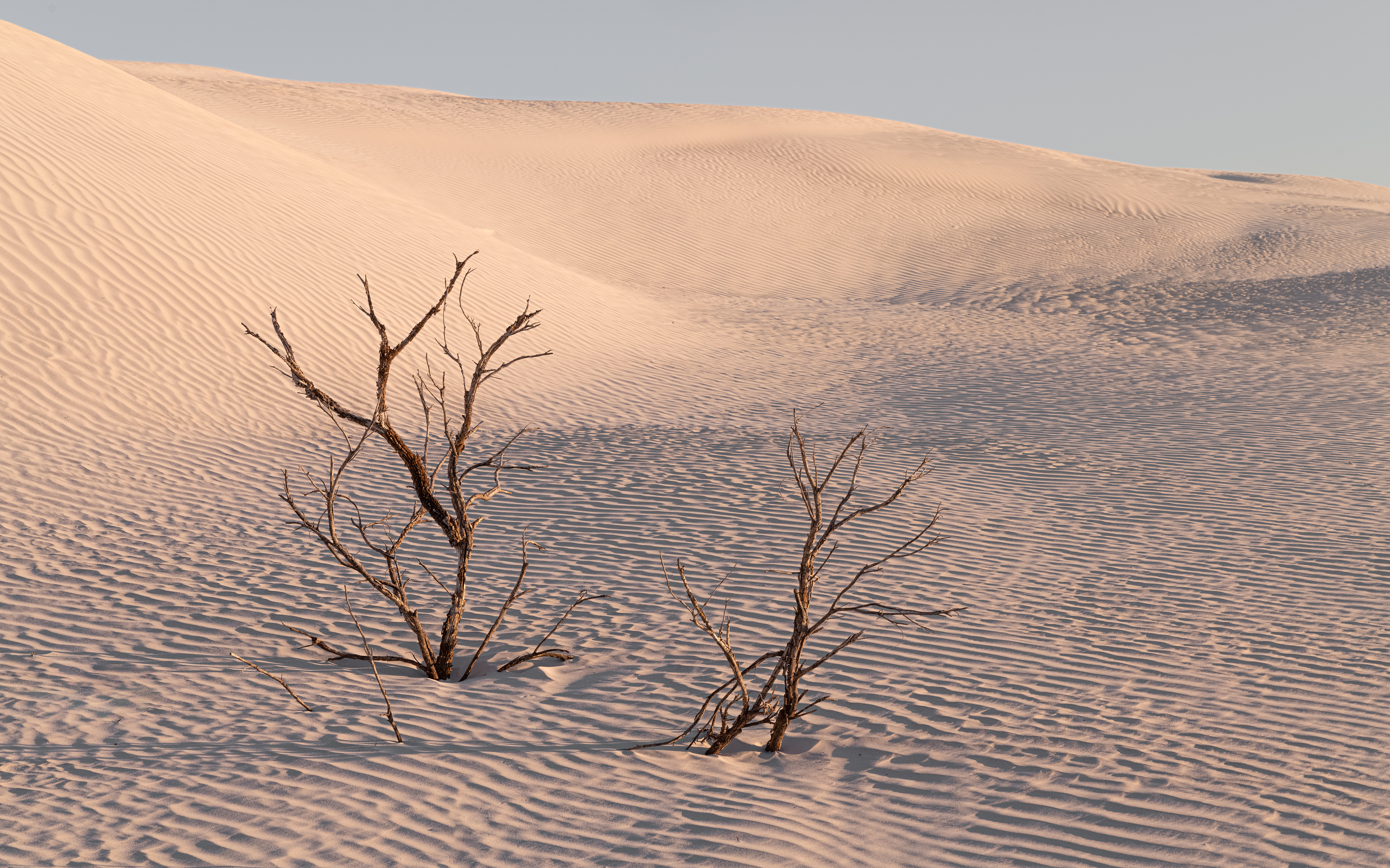 Nambung Dunes 02