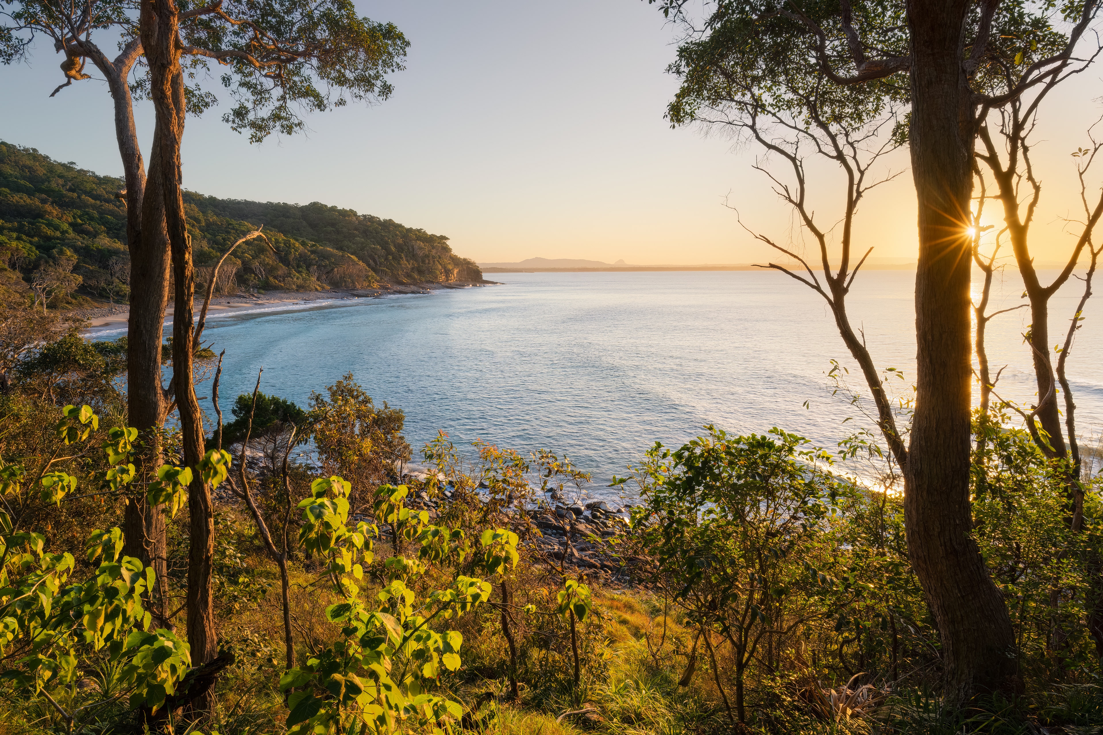 Tea Tree Bay, Noosa