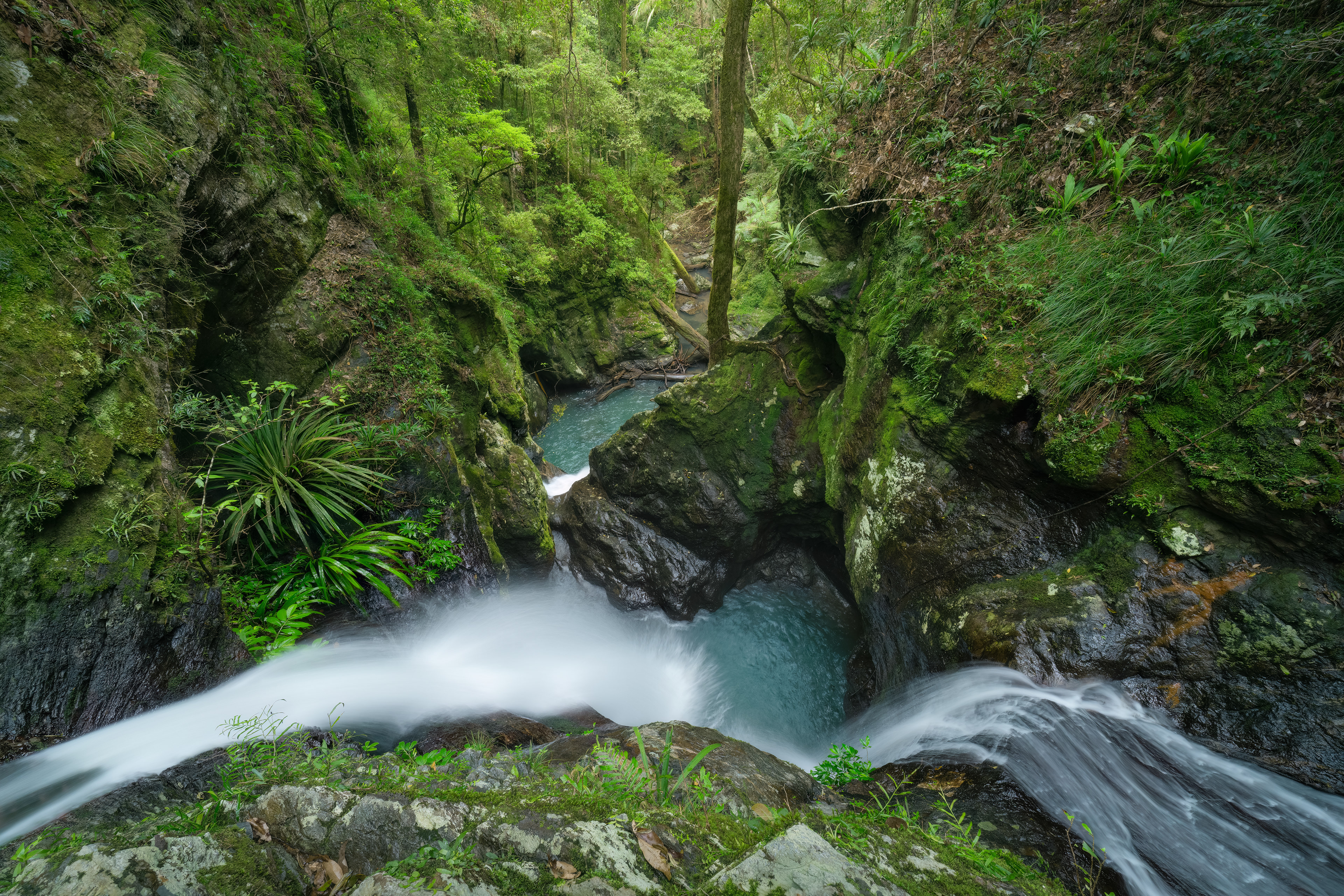 Springbrook Secret 05