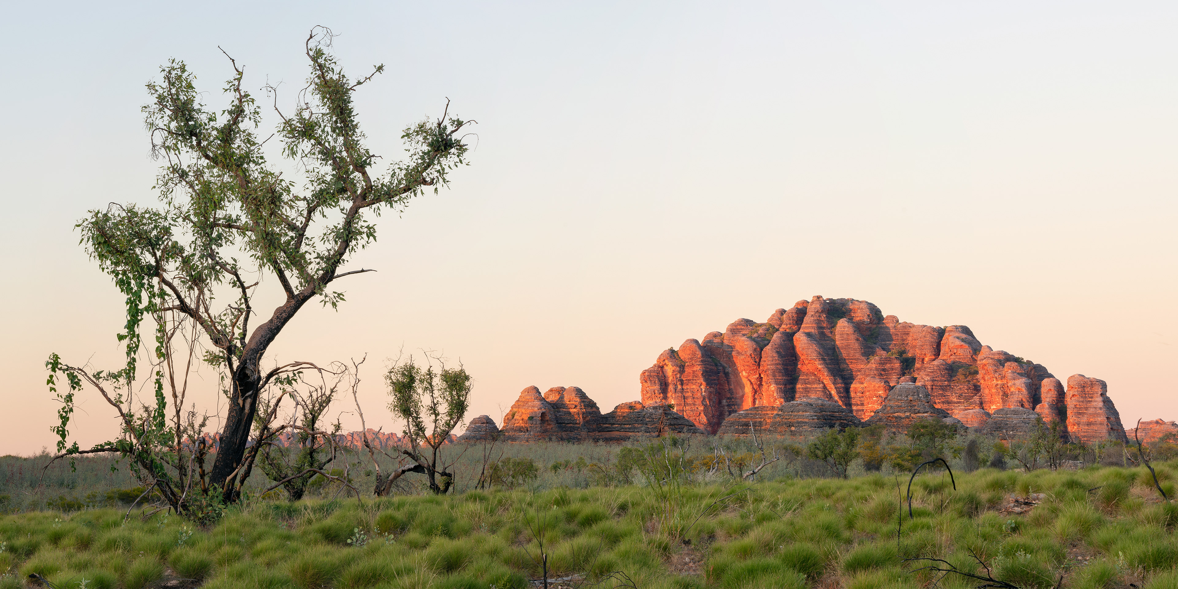 Bungle Bungle Sunrise