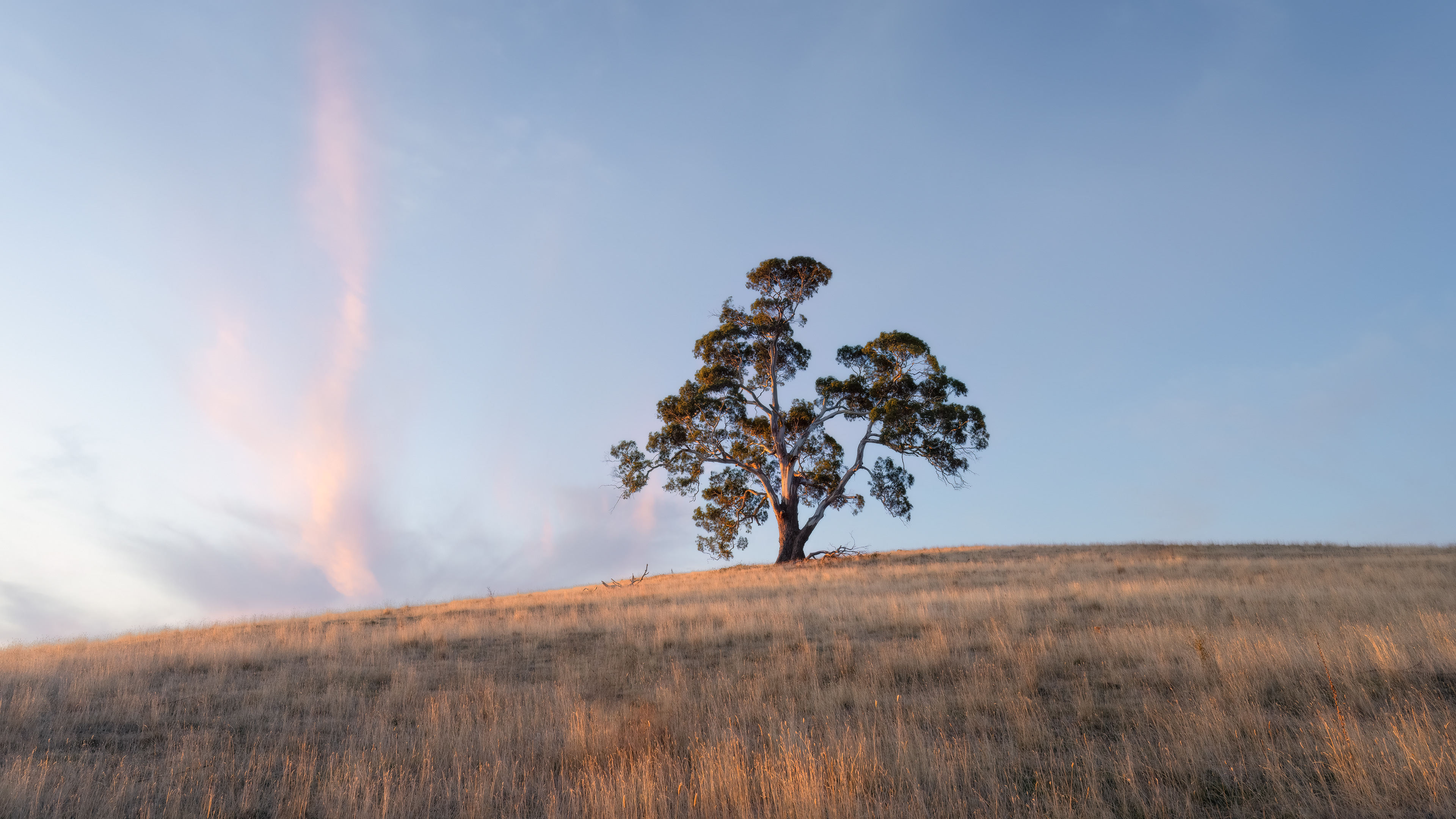 Daylesford Farmland