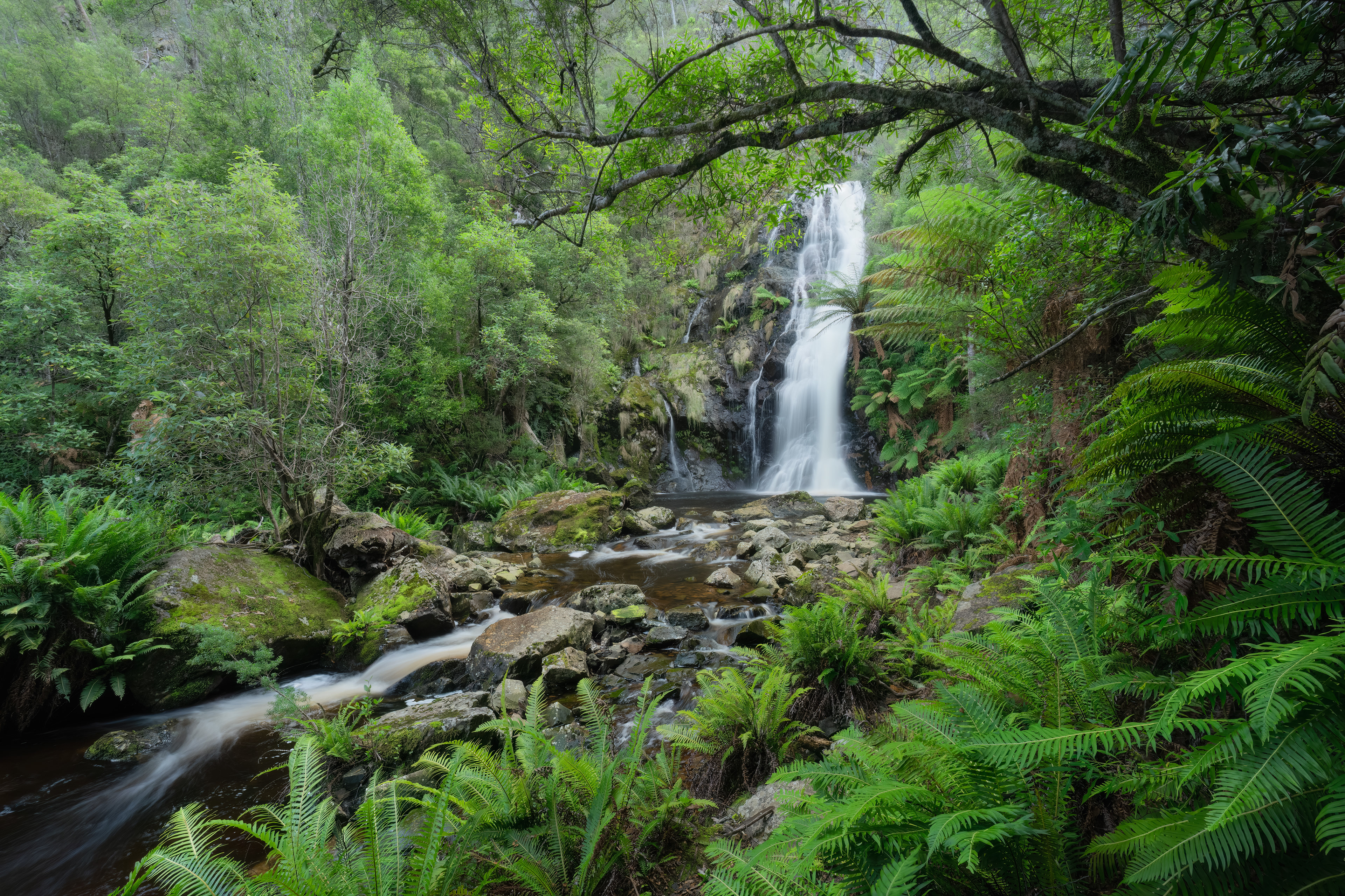 Mathinna Falls 02 (2:3)