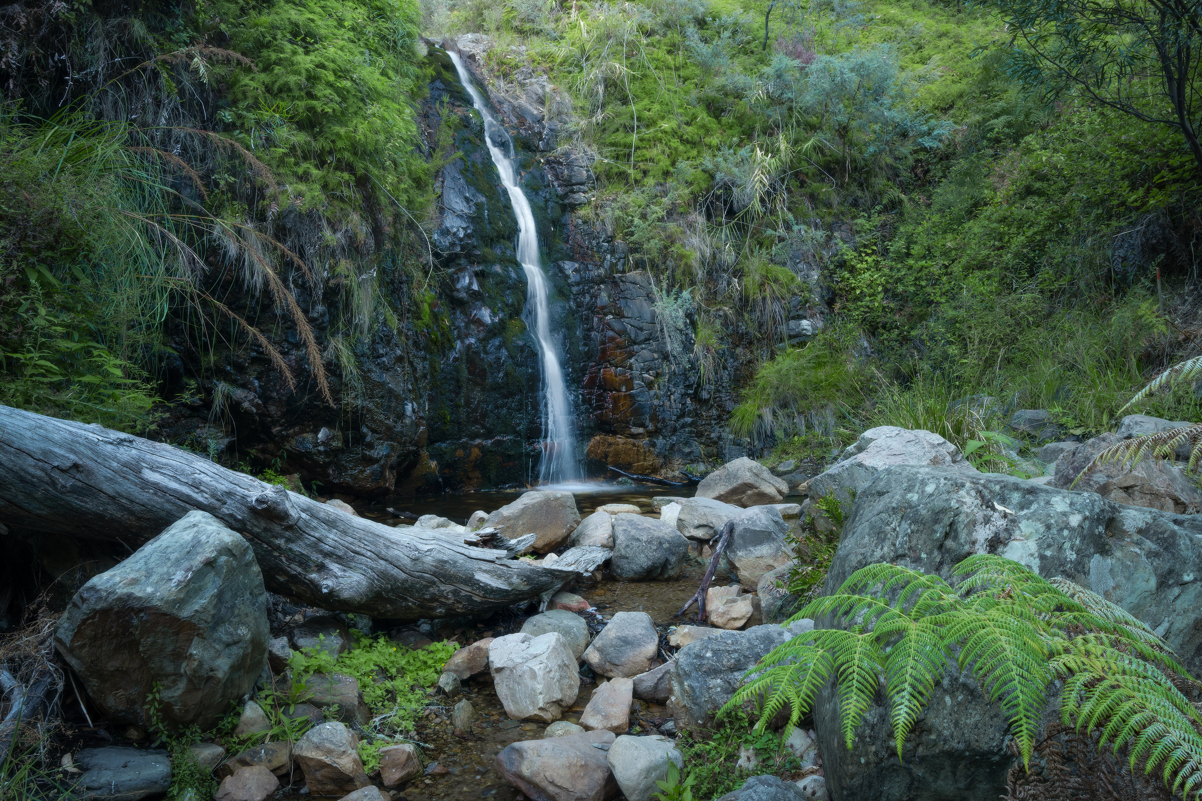 Waterfall Gully