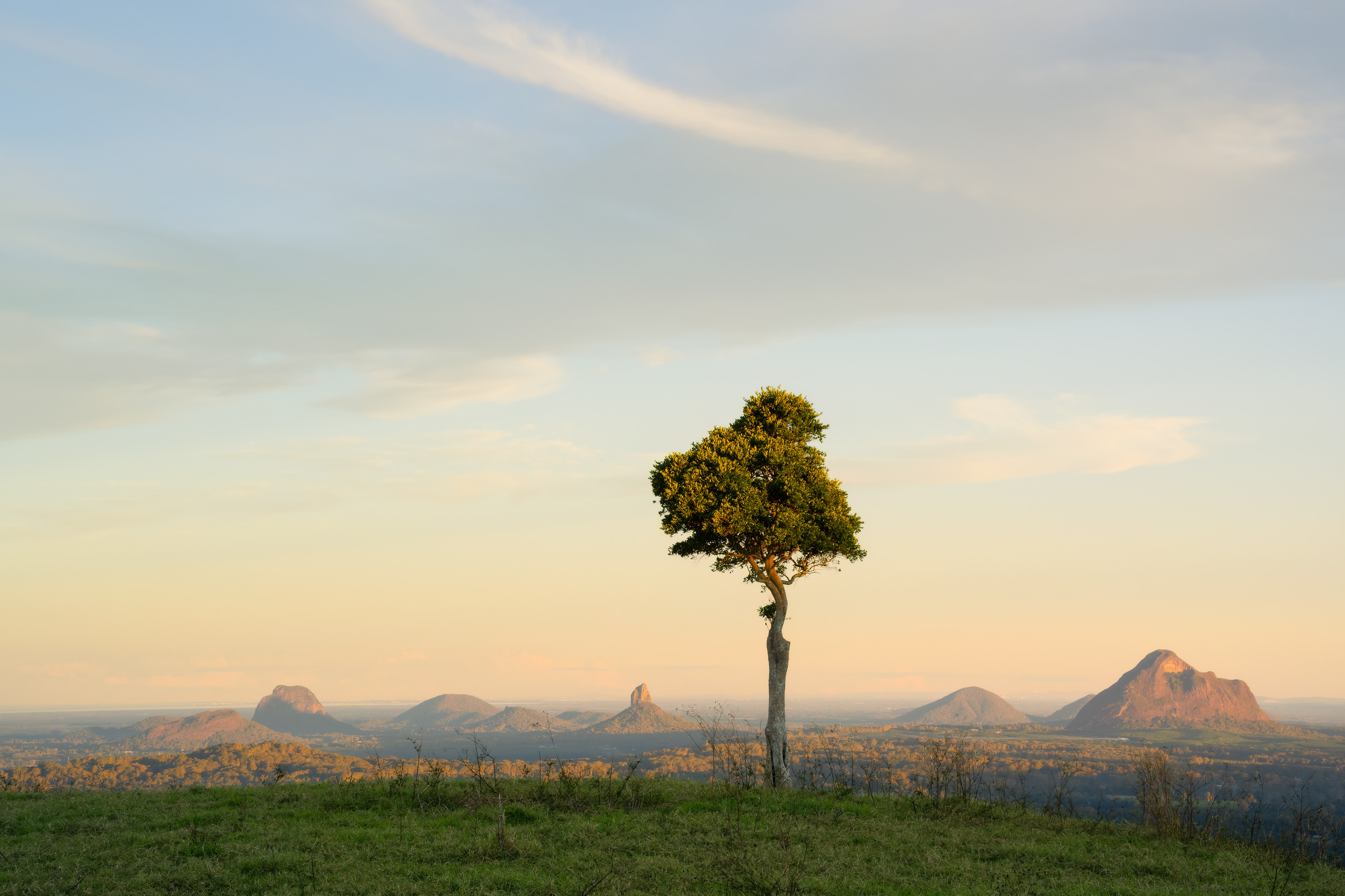 Sunshine Coast Hinterland, Queensland