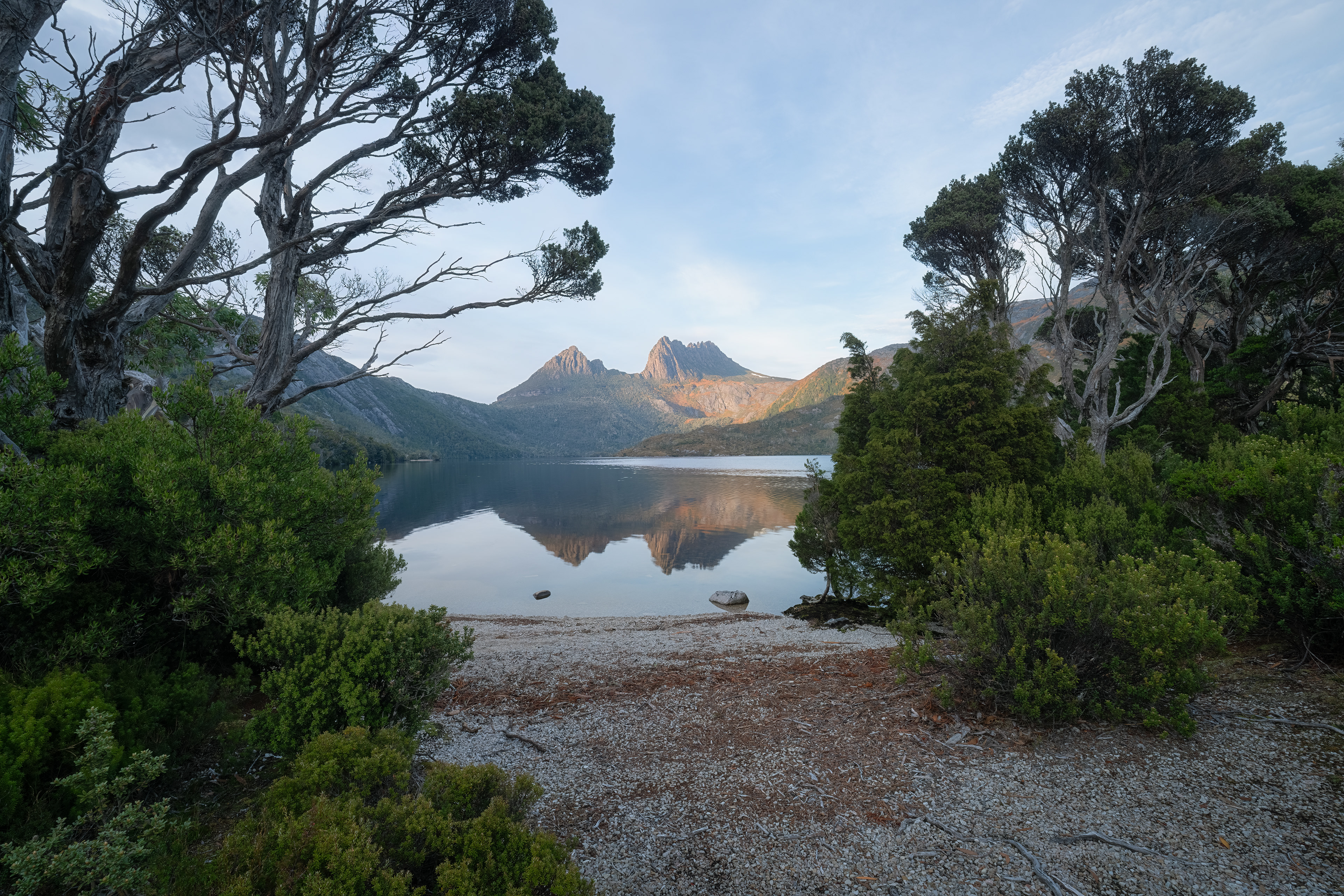 Cradle Mountain Reflections (2:3)