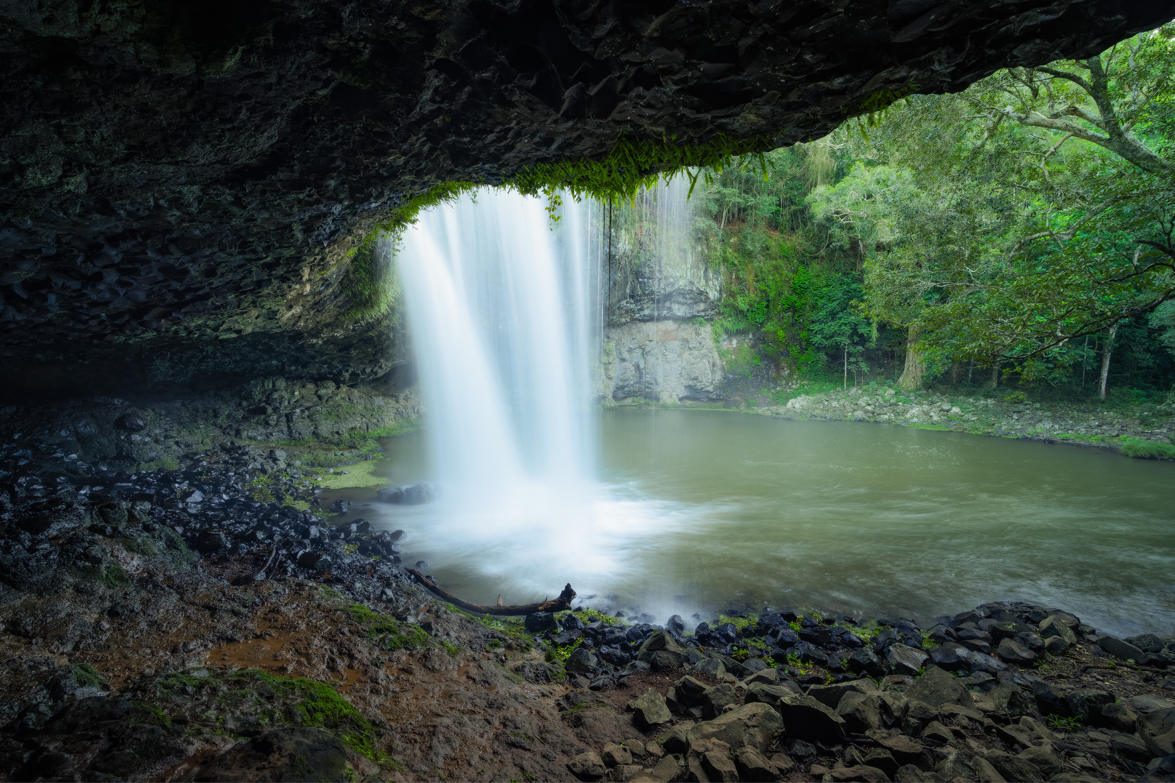 iew from behind Killen Falls waterfall under basalt rock overhang in Tintenbar