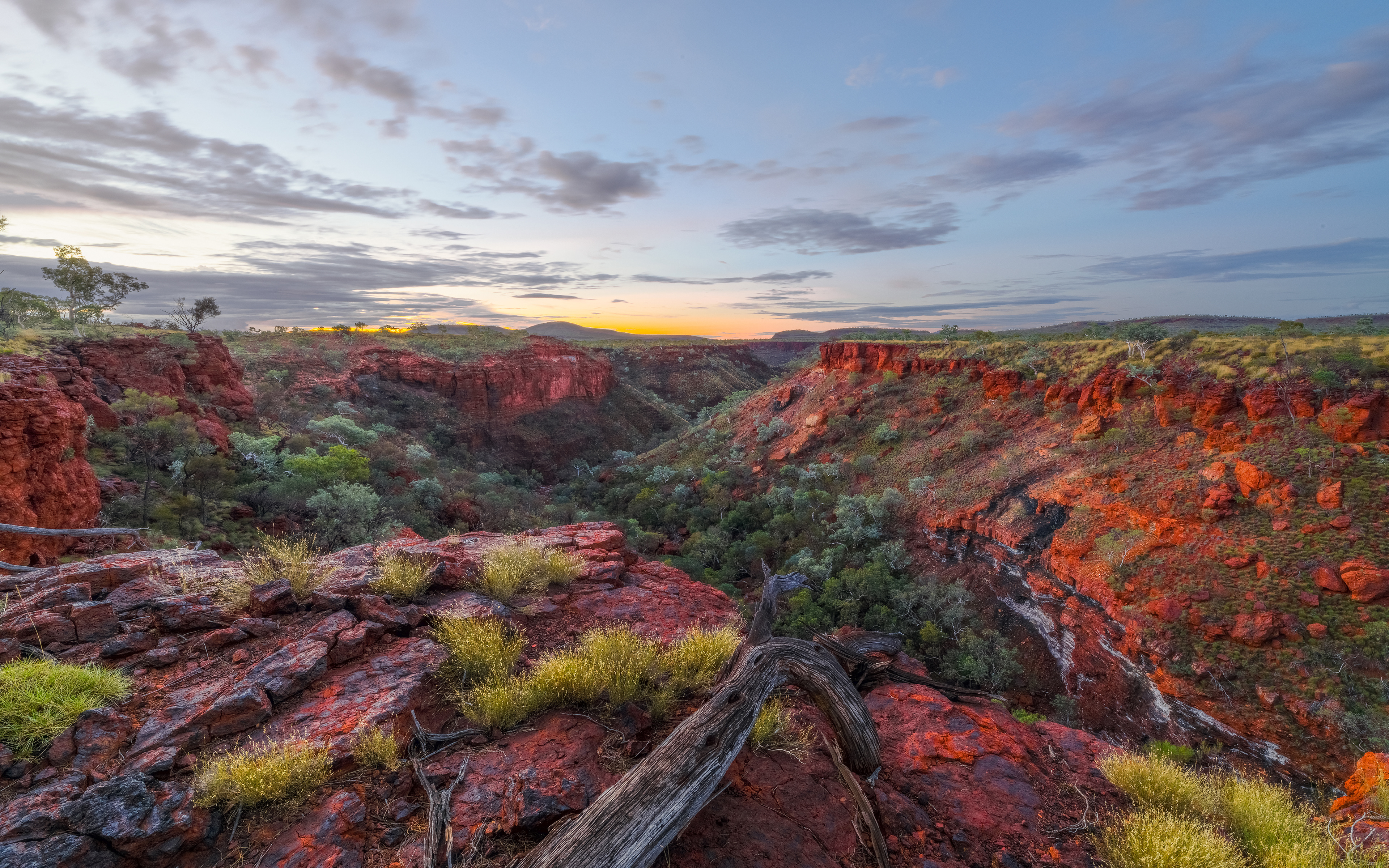 Pilbara Gorge