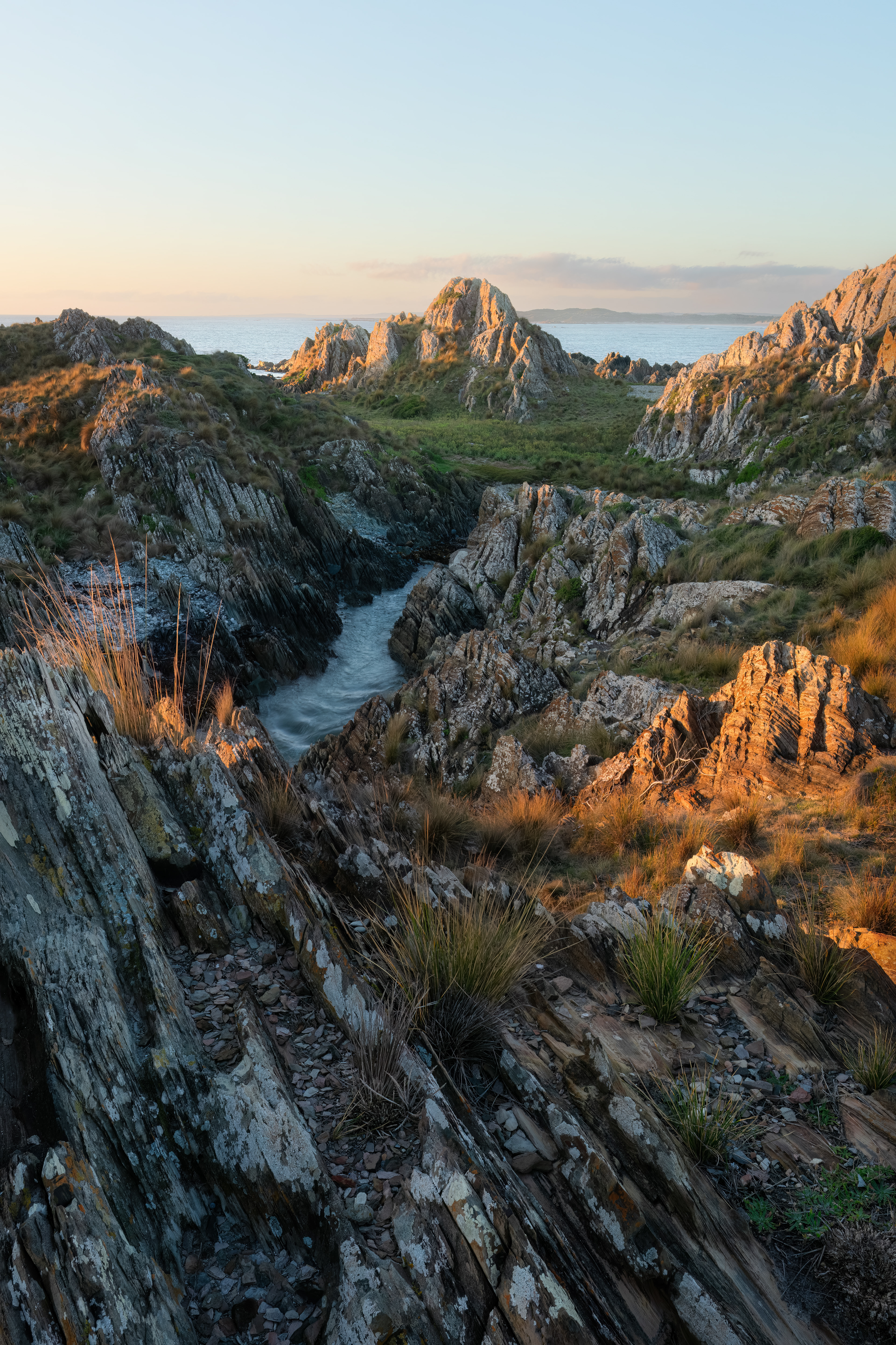 Tarkine Coast
