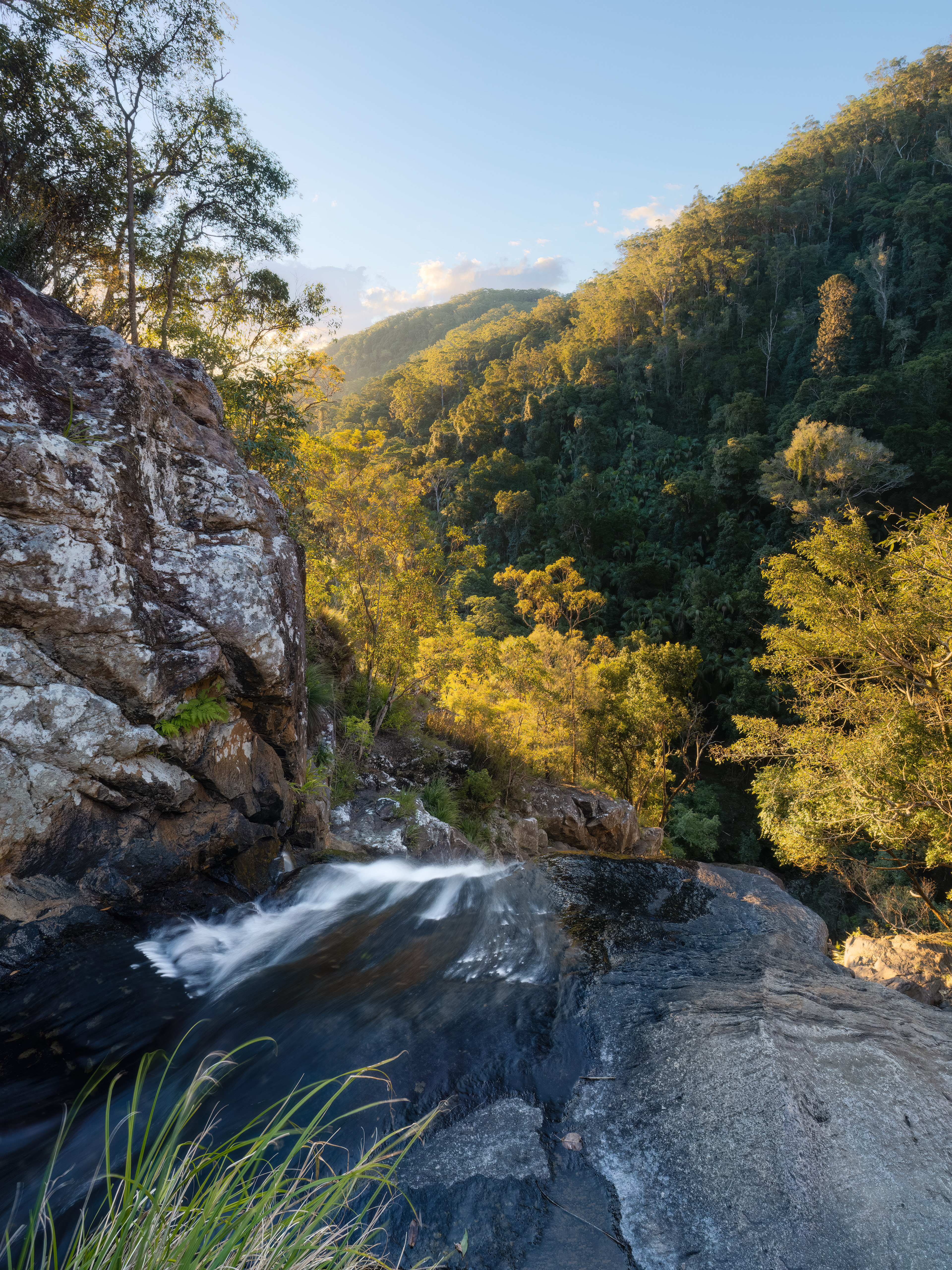 Kondalilla Falls 02