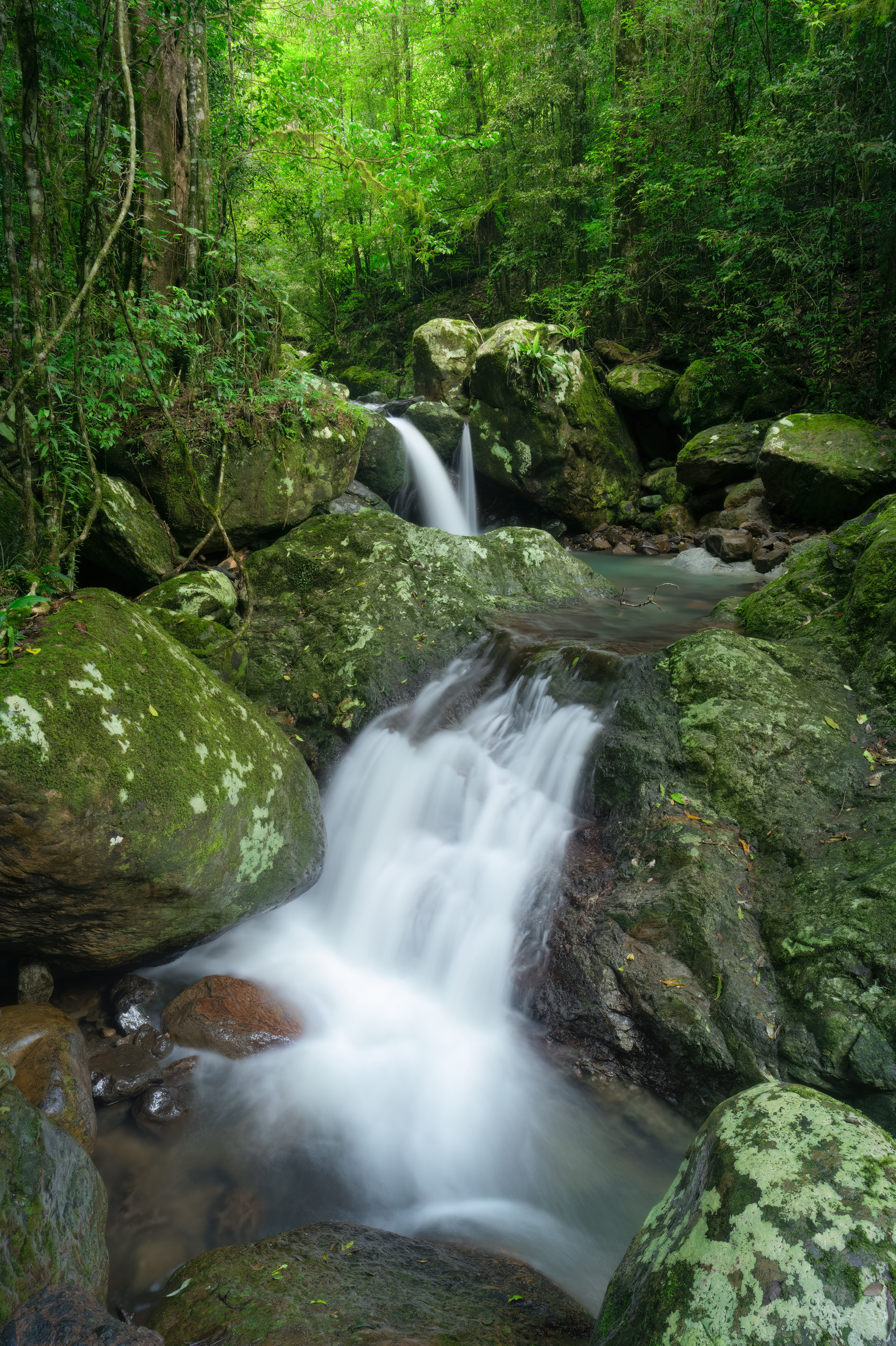 Springbrook Secret 01