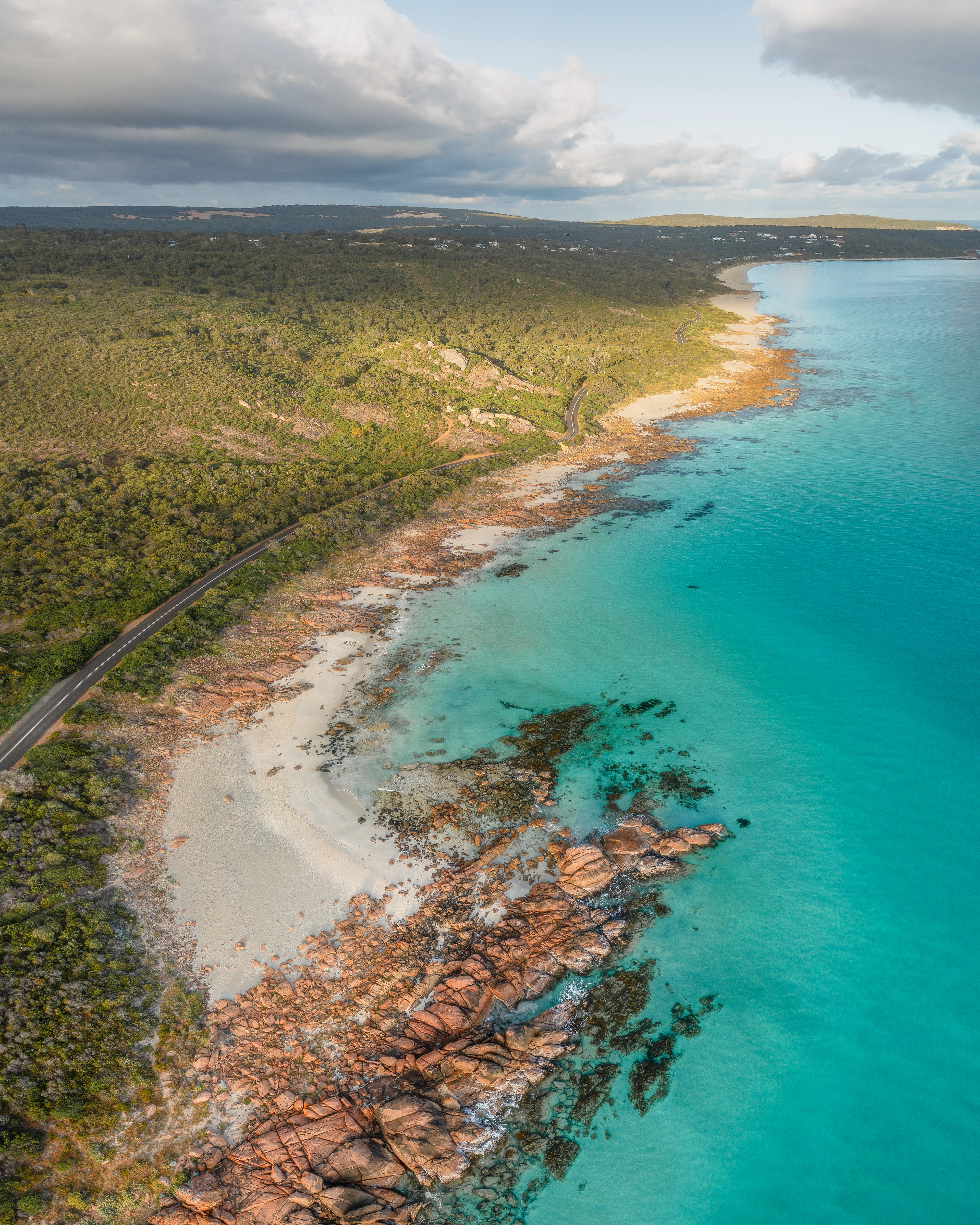 Point Picquet From Above (4:5 Ratio)