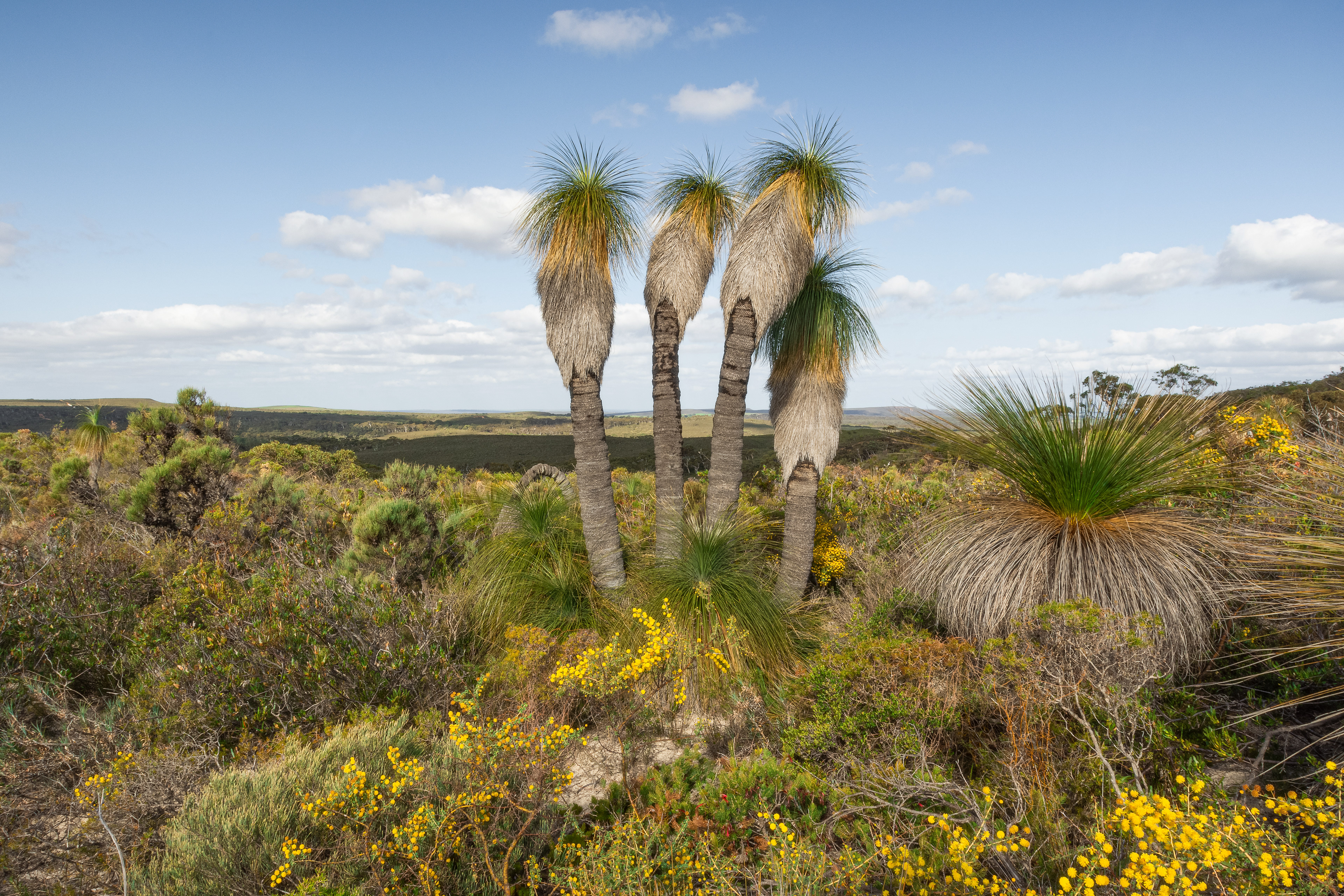 Lesueur National Park