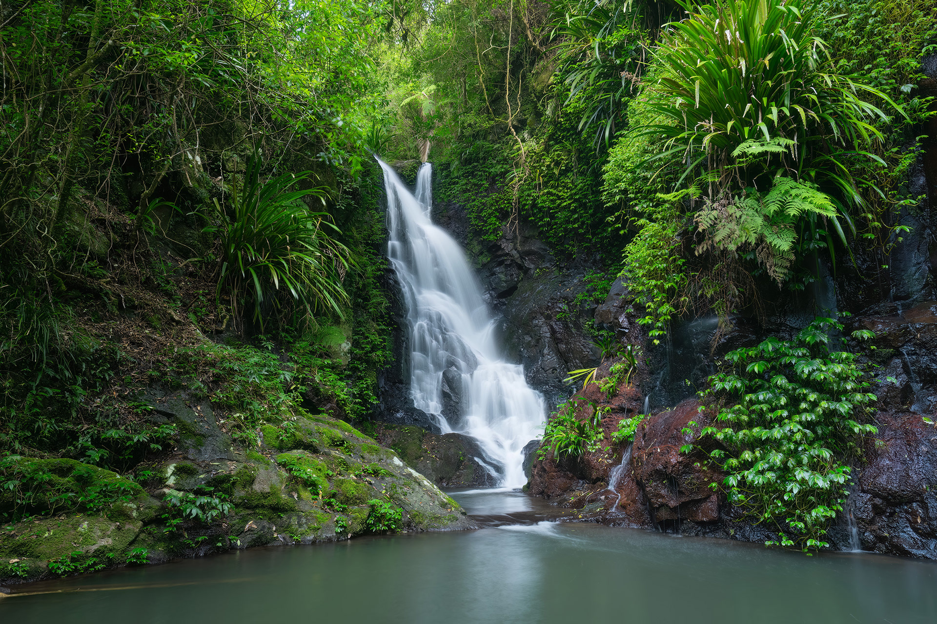 Best waterfalls in the Gold Coast Australia