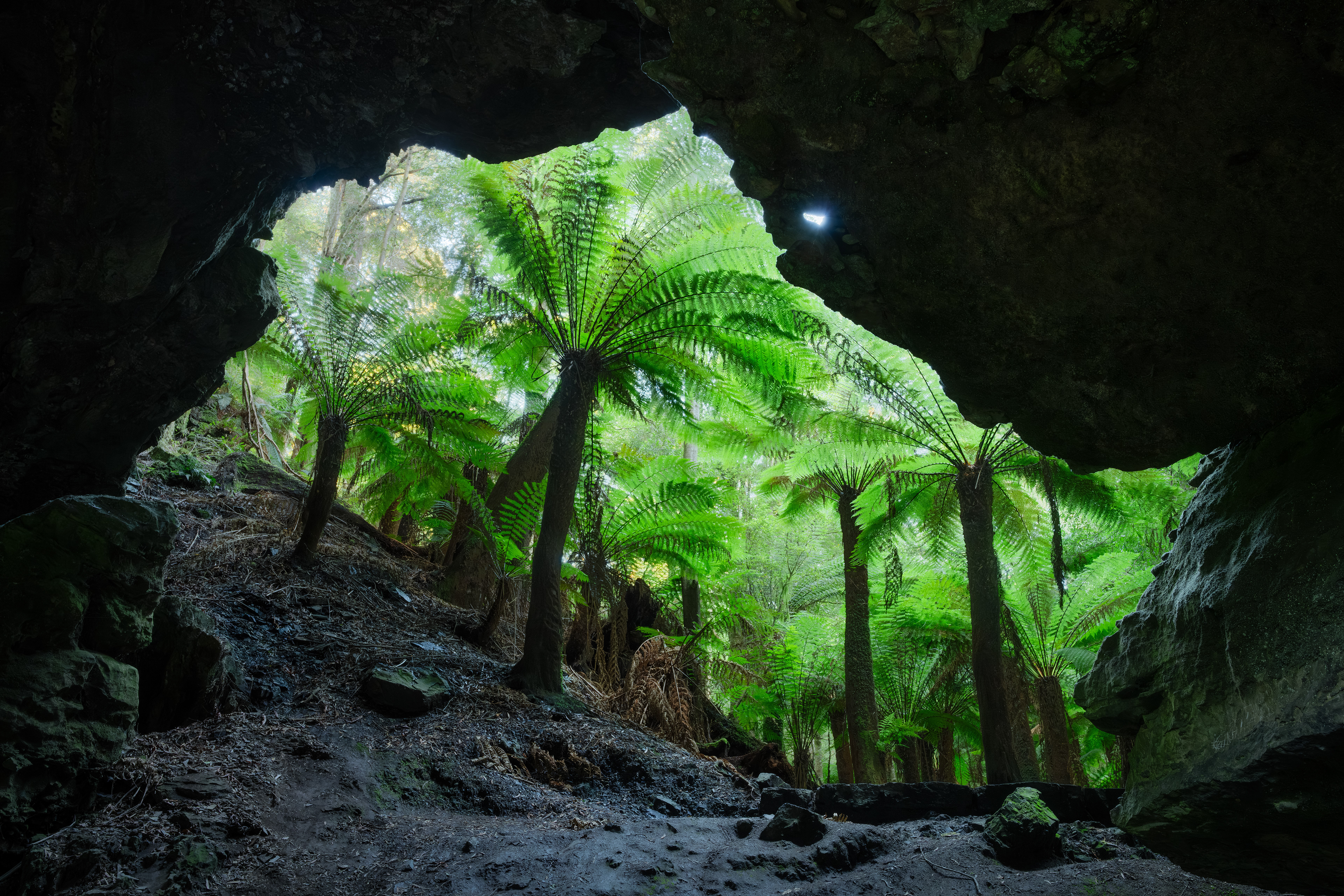 Trowutta Arch, Tarkine