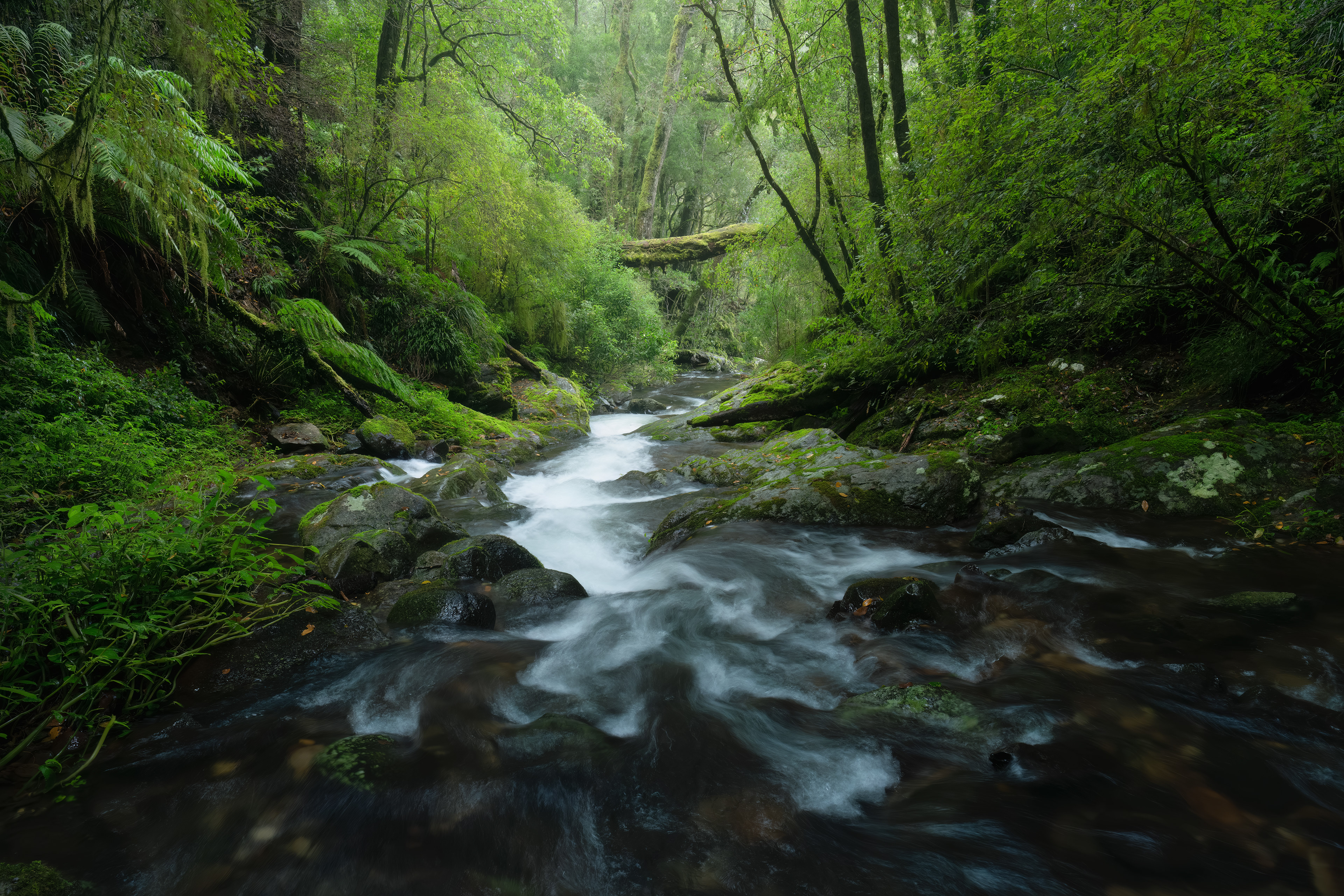 New England National Park