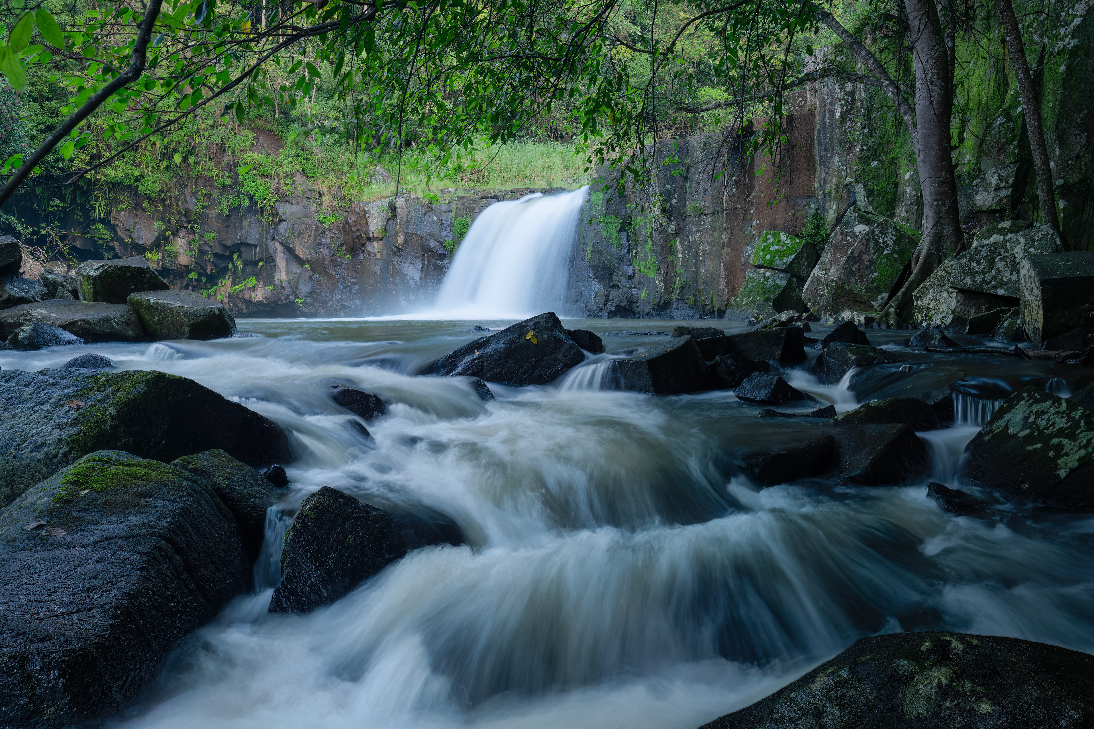 Marom Falls cascading through lush rainforest in the Byron Bay hinterland